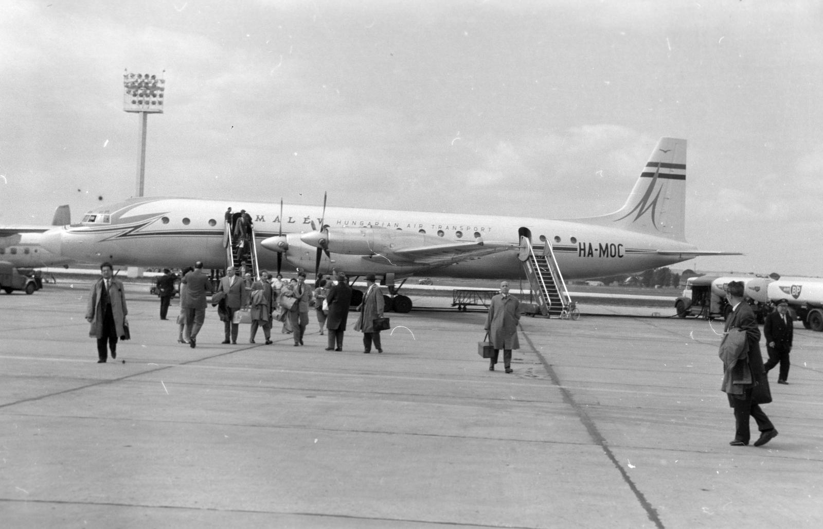 1965, Lindner család, Fortepan #311584