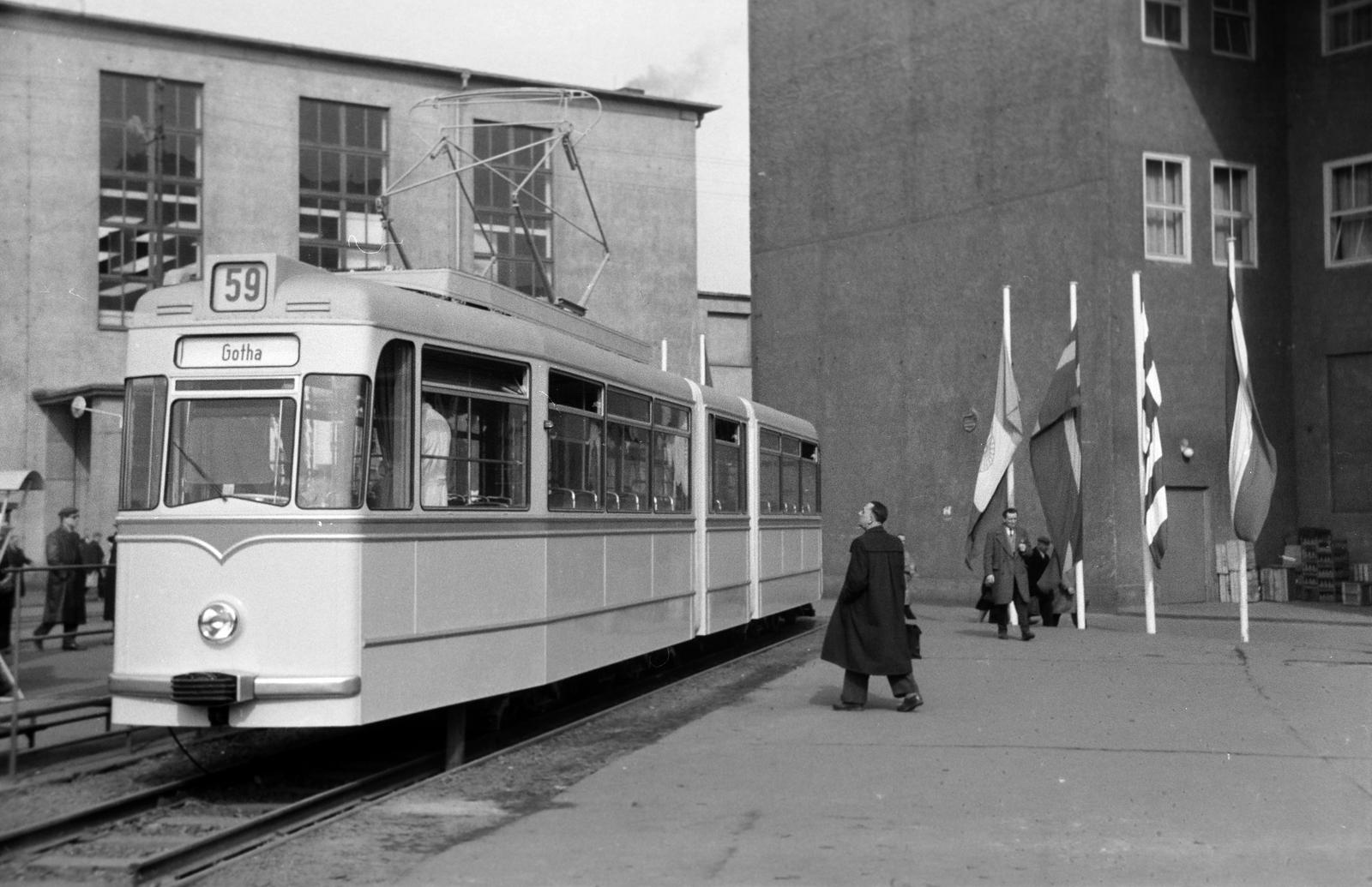 1965, Lindner család, Fortepan #311591