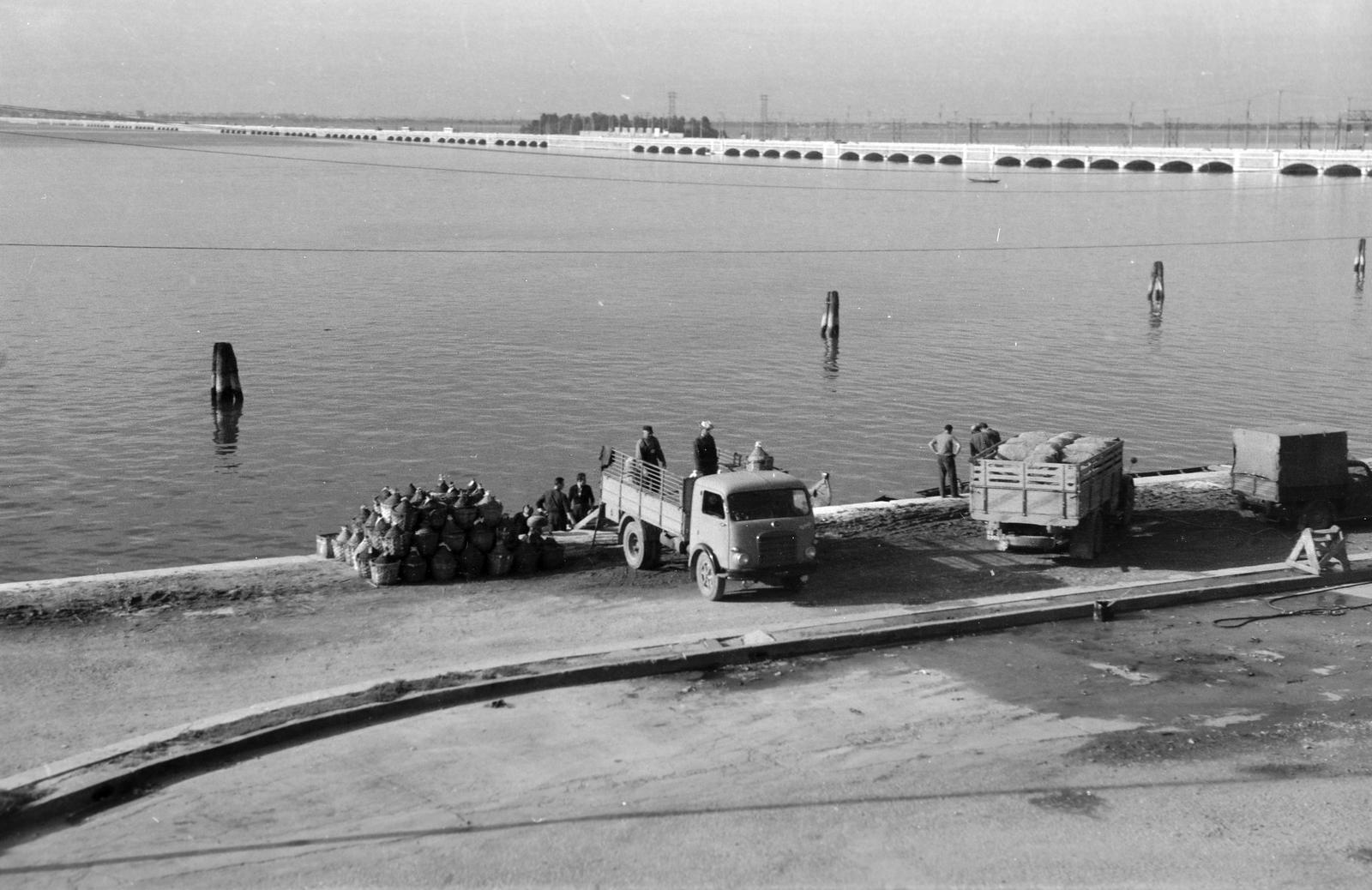 1963, Lindner család, Fortepan #311644