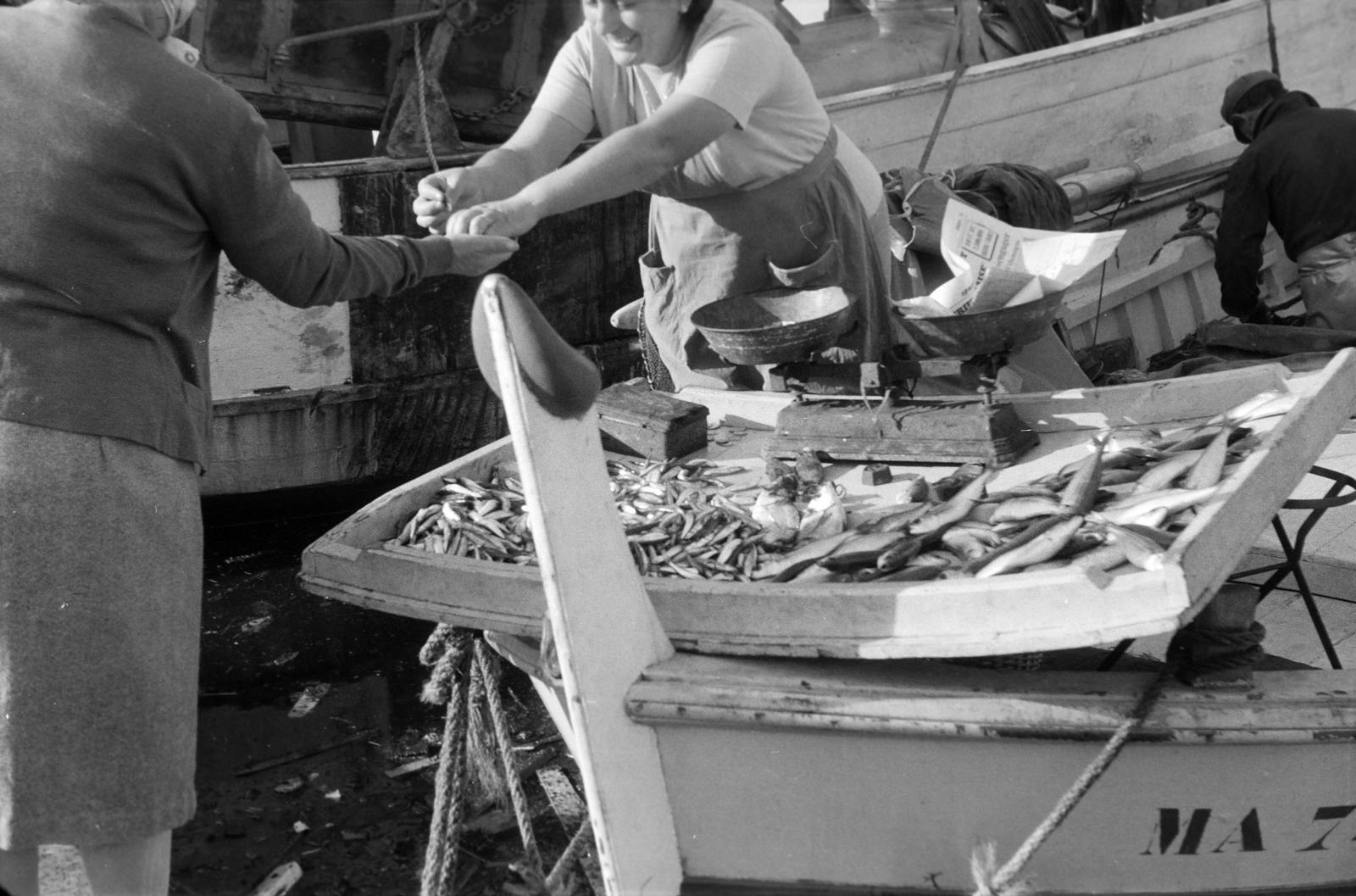 1963, Lindner család, Fortepan #311670