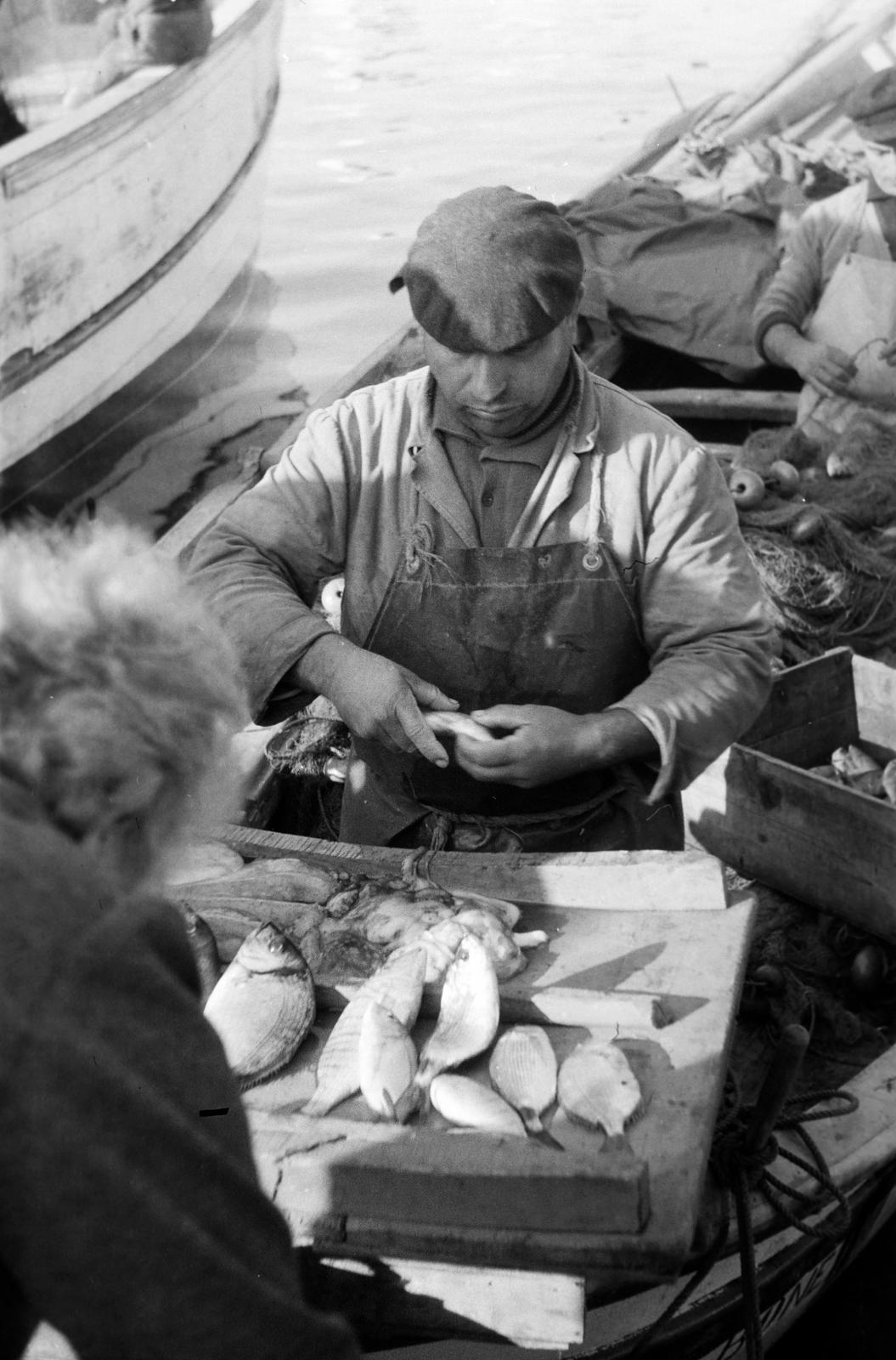 1963, Lindner család, Fortepan #311671