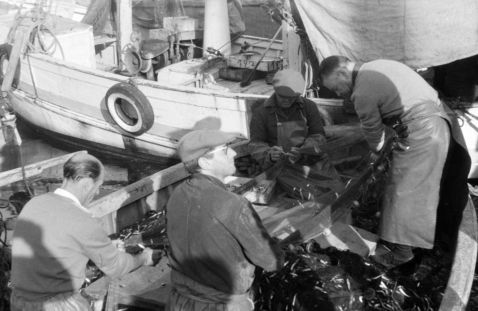 1963, Lindner család, Fortepan #311672