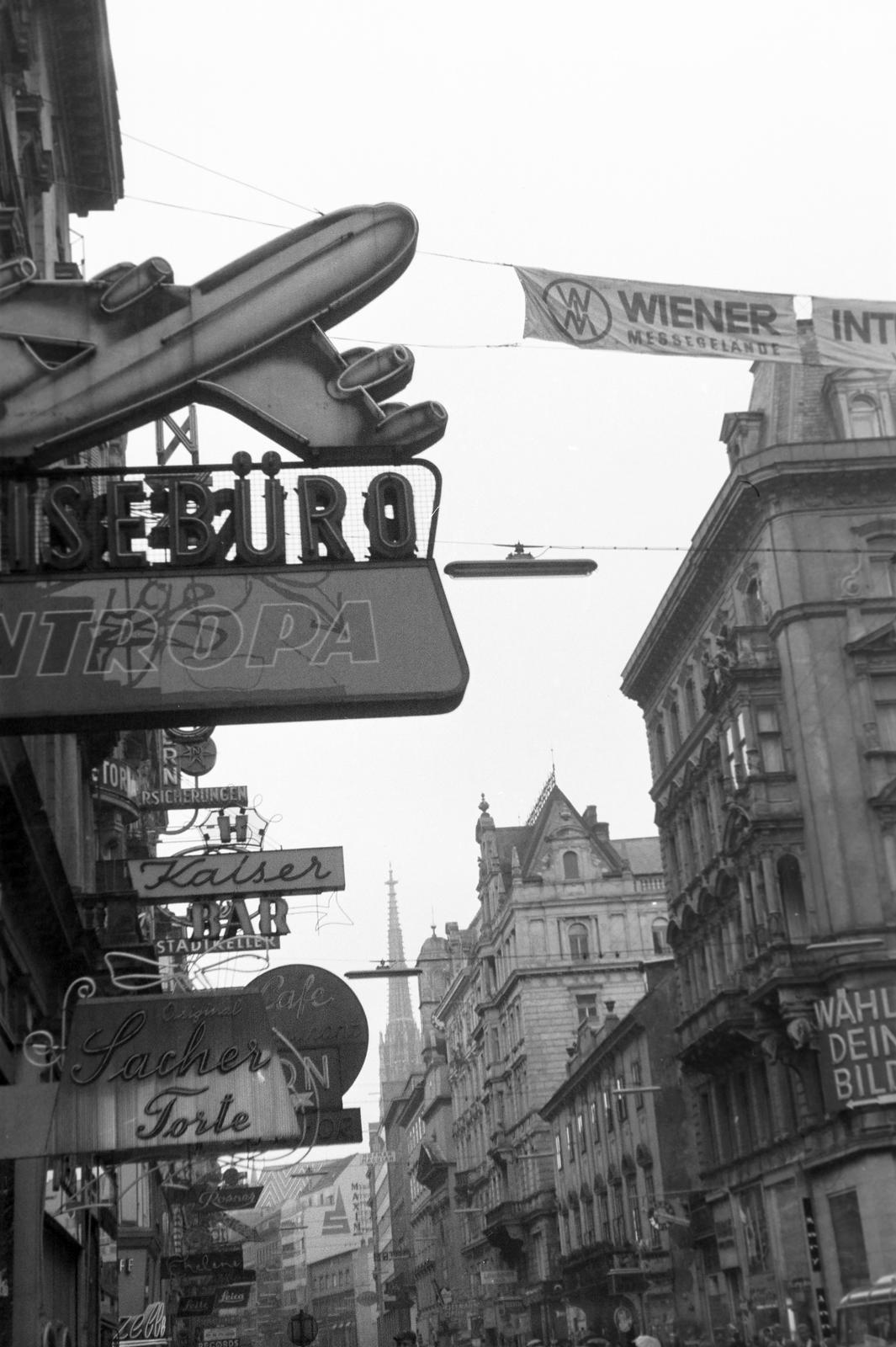 1964, Lindner család, Fortepan #311723