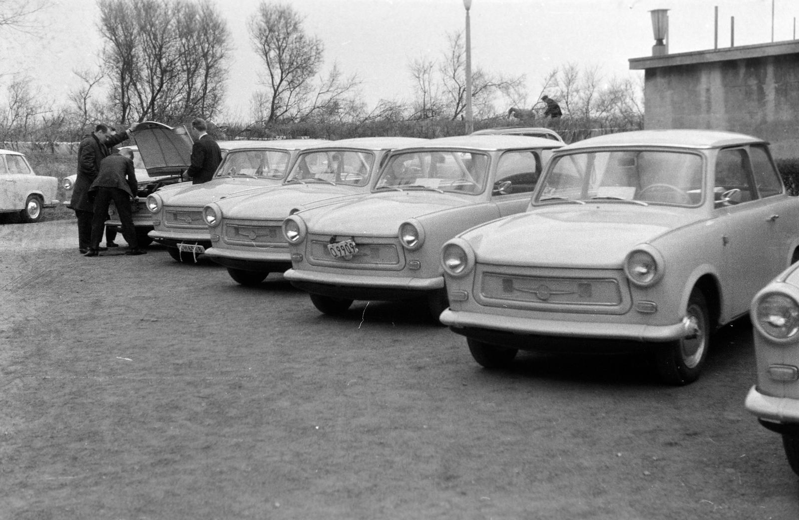 1964, Lindner család, Fortepan #311732