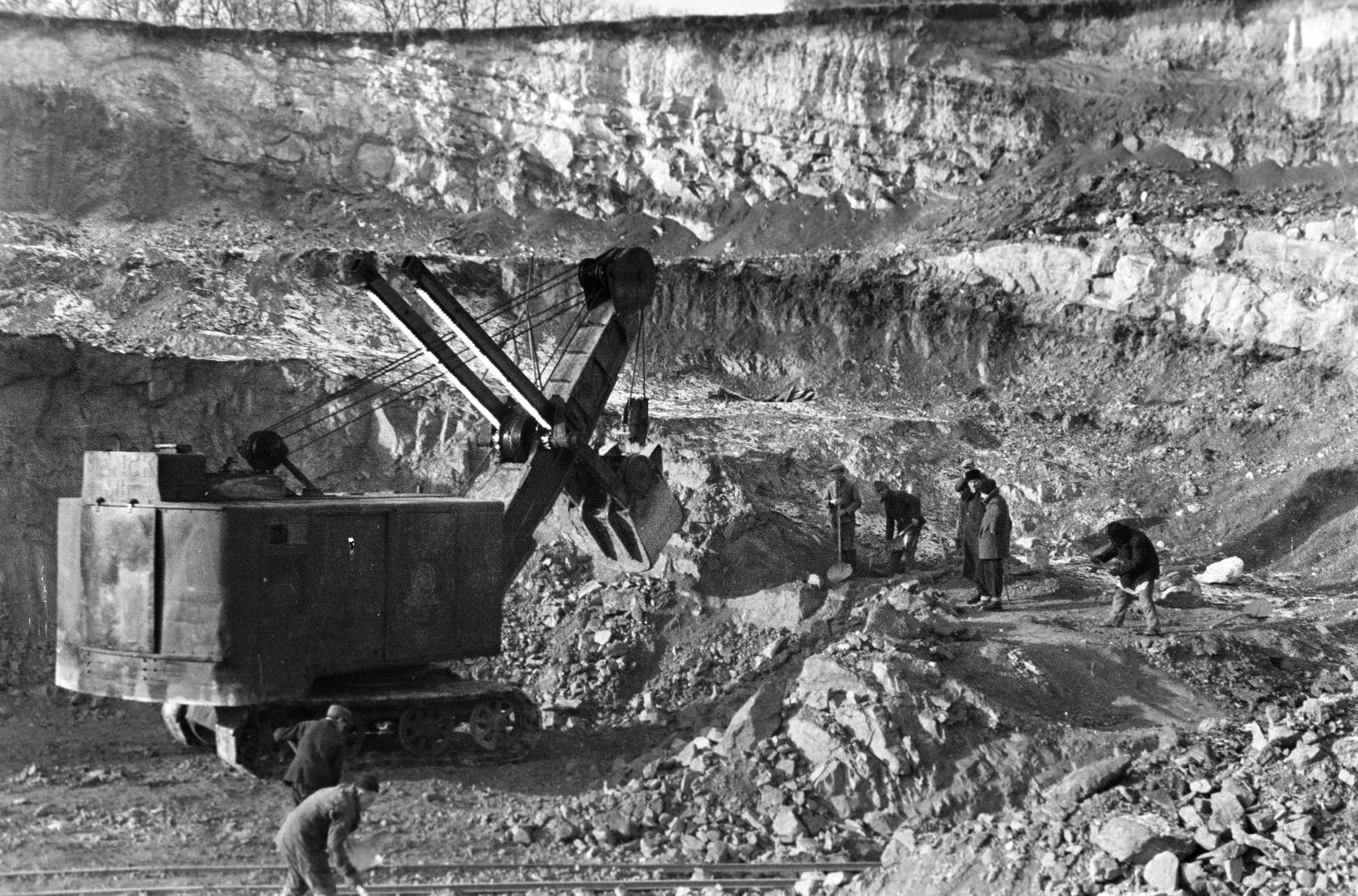 1940, Martin Ferenc, Fortepan #311751