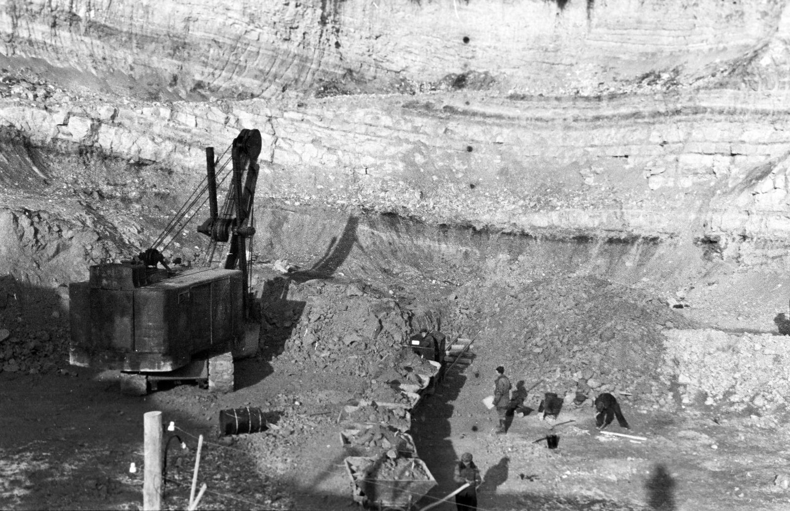 1940, Martin Ferenc, Fortepan #311752