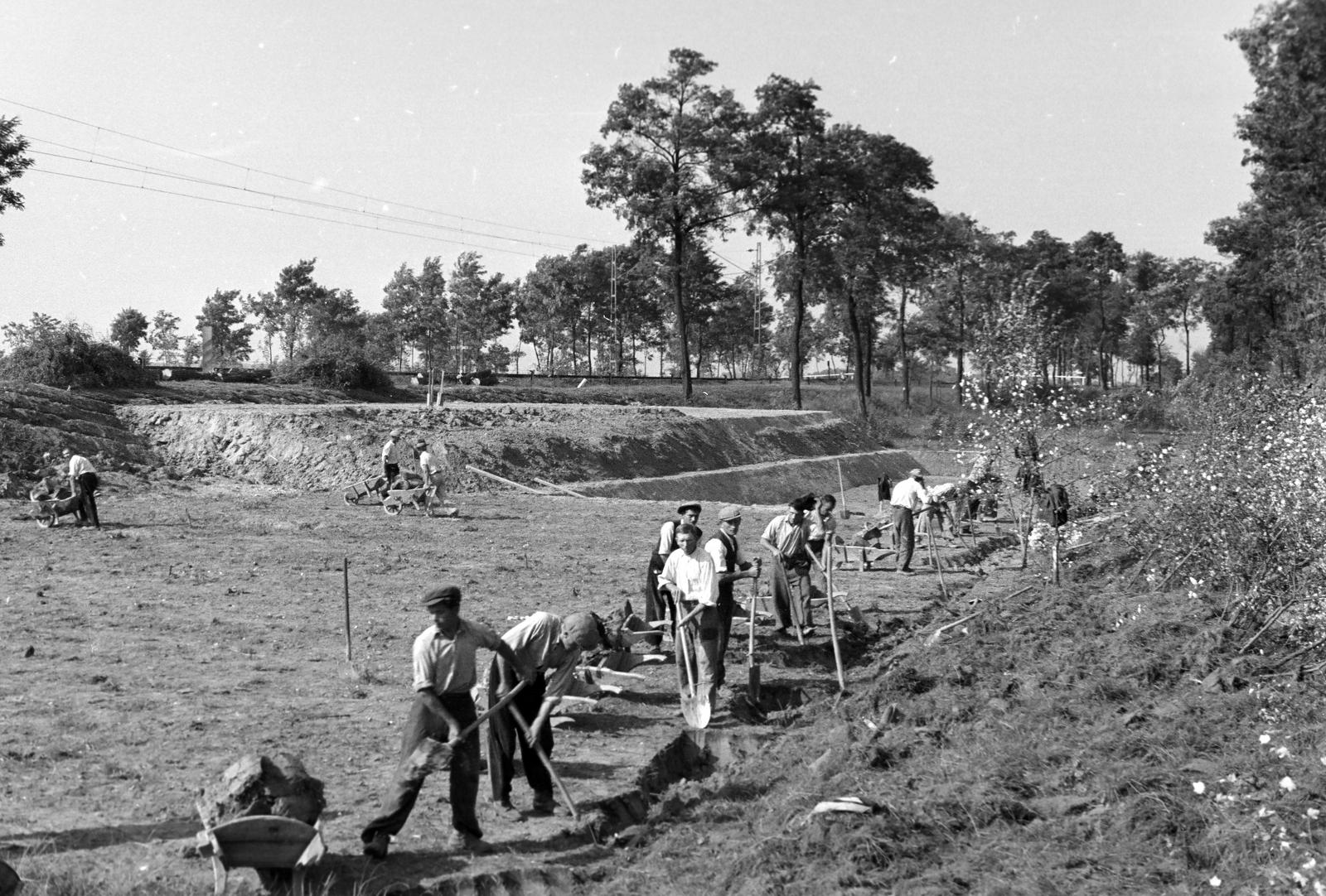 1940, Martin Ferenc, Fortepan #311767