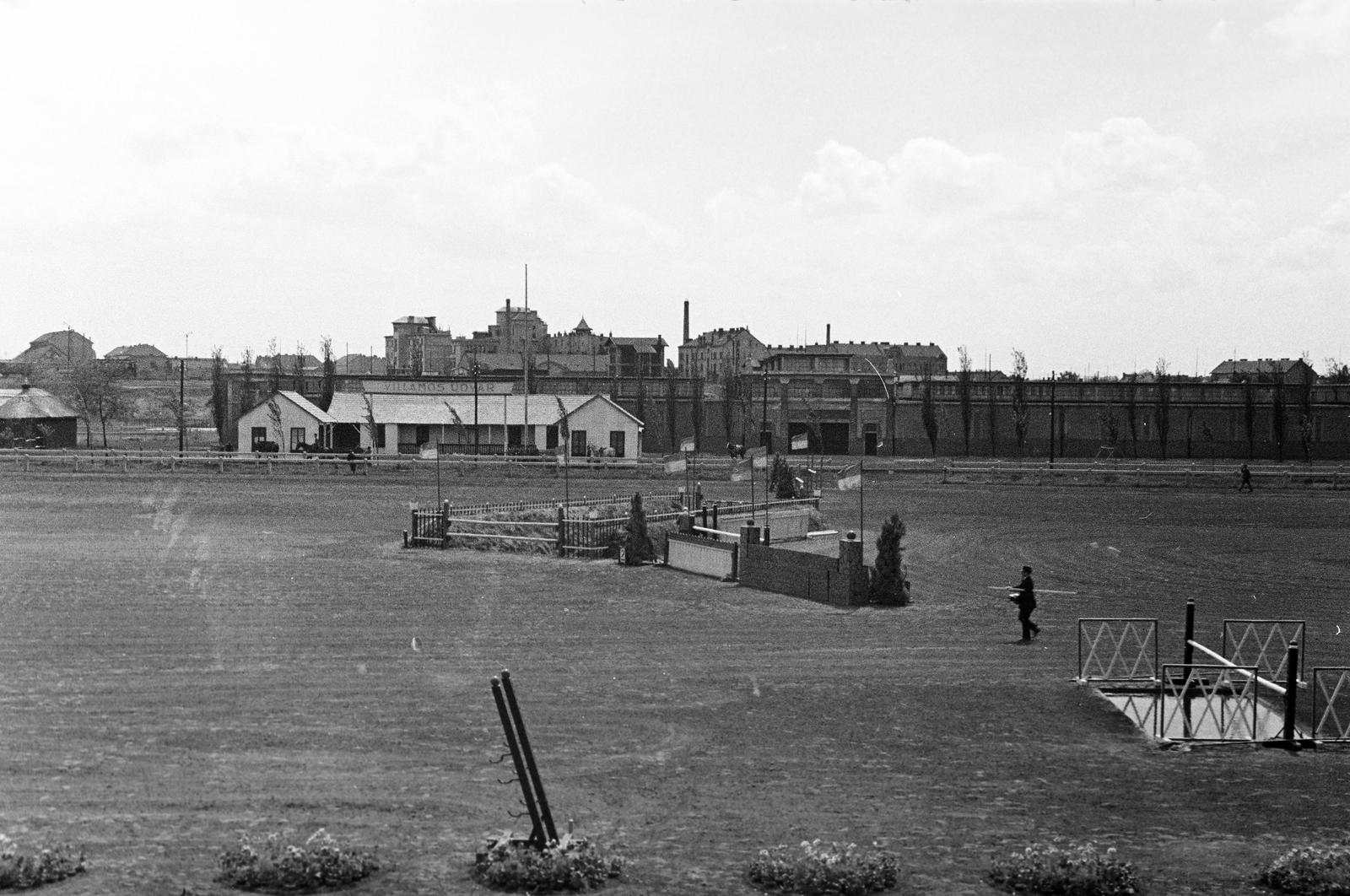 1940, Martin Ferenc, Fortepan #311771