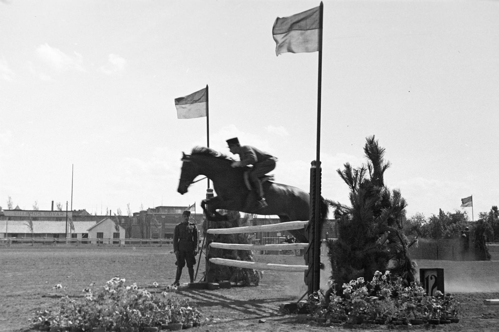 1940, Martin Ferenc, Fortepan #311777