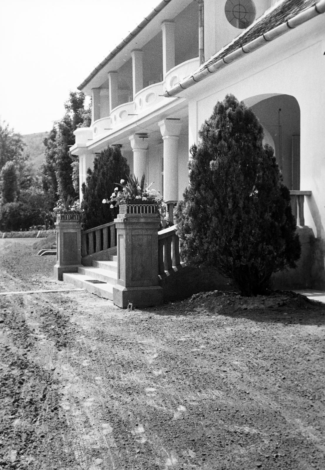 1941, Martin Ferenc, Fortepan #311786