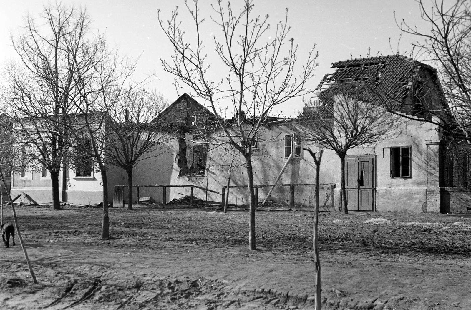 1942, Martin Ferenc, Fortepan #311803