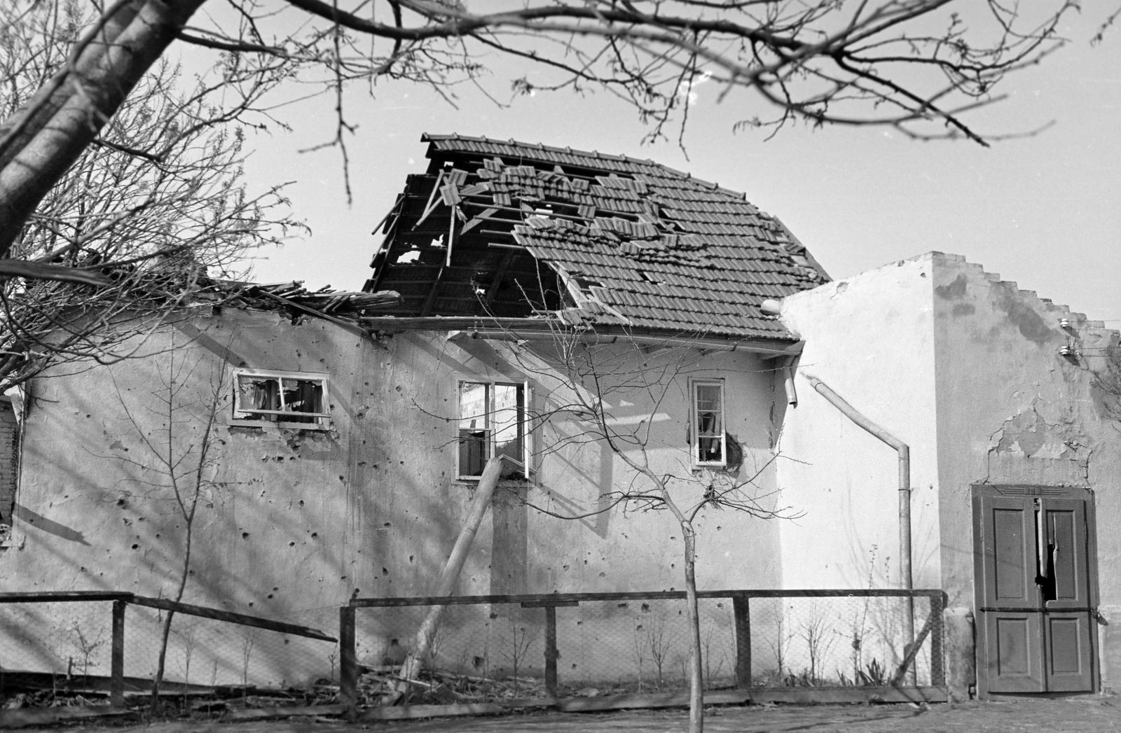 1942, Martin Ferenc, Fortepan #311805