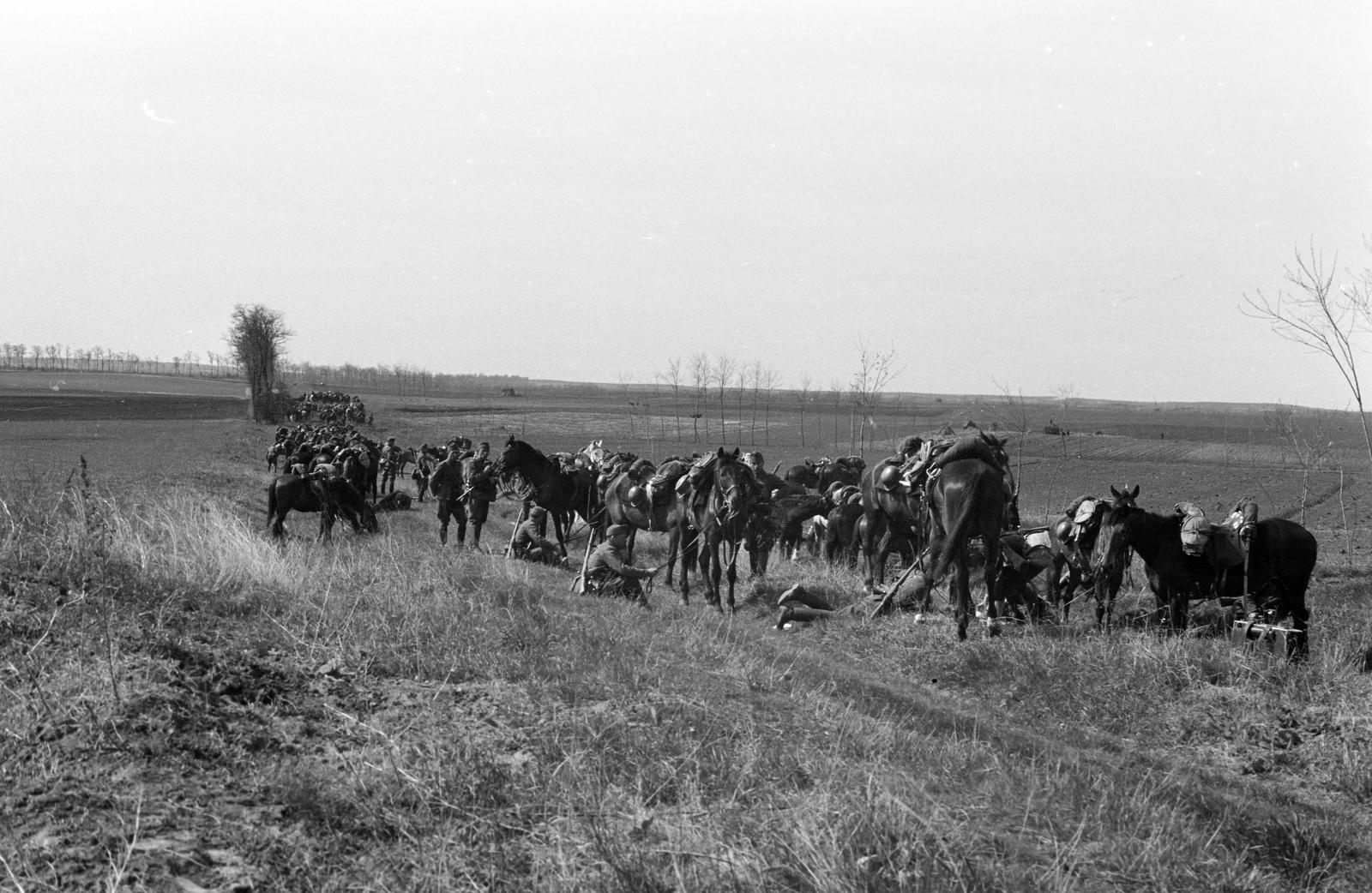 1942, Martin Ferenc, Fortepan #311810