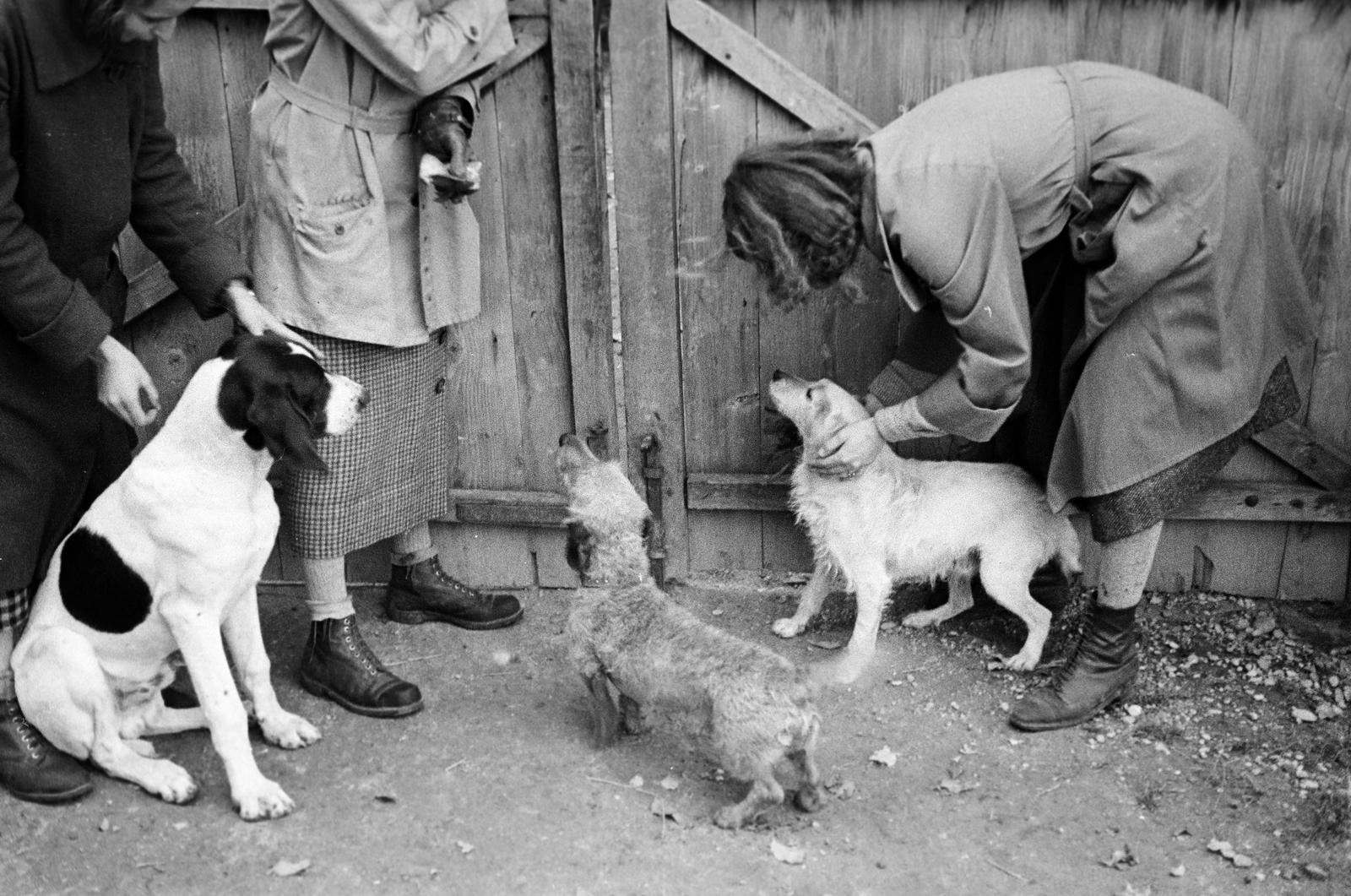 1937, Martin Ferenc, Fortepan #311838