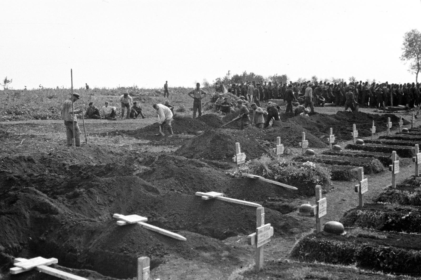 1942, Martin Ferenc, Fortepan #311843