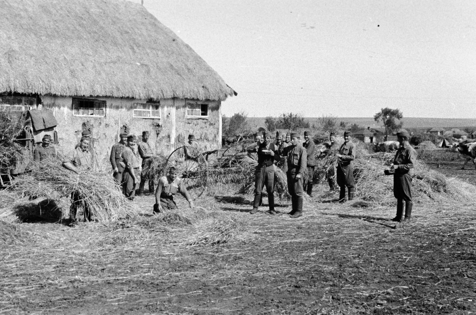 1942, Martin Ferenc, Fortepan #311845