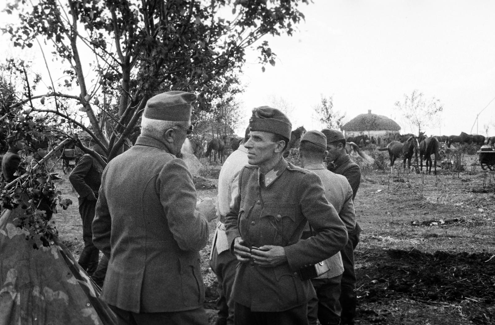 1942, Martin Ferenc, Fortepan #311857