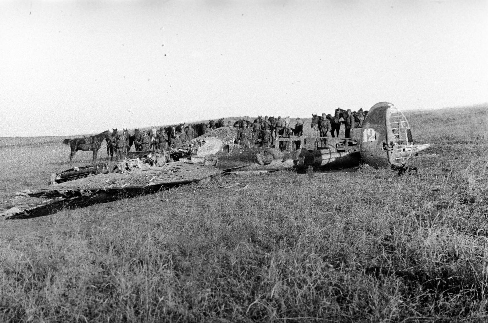 1942, Martin Ferenc, Fortepan #311864