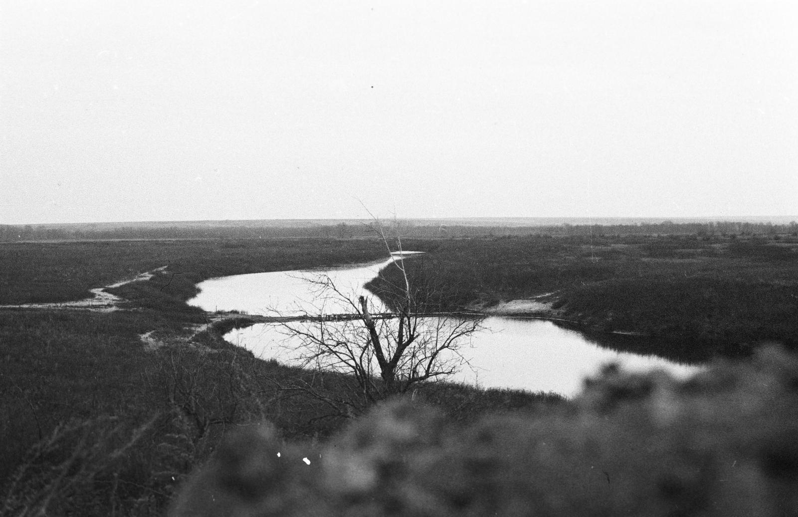 1942, Martin Ferenc, Fortepan #311886