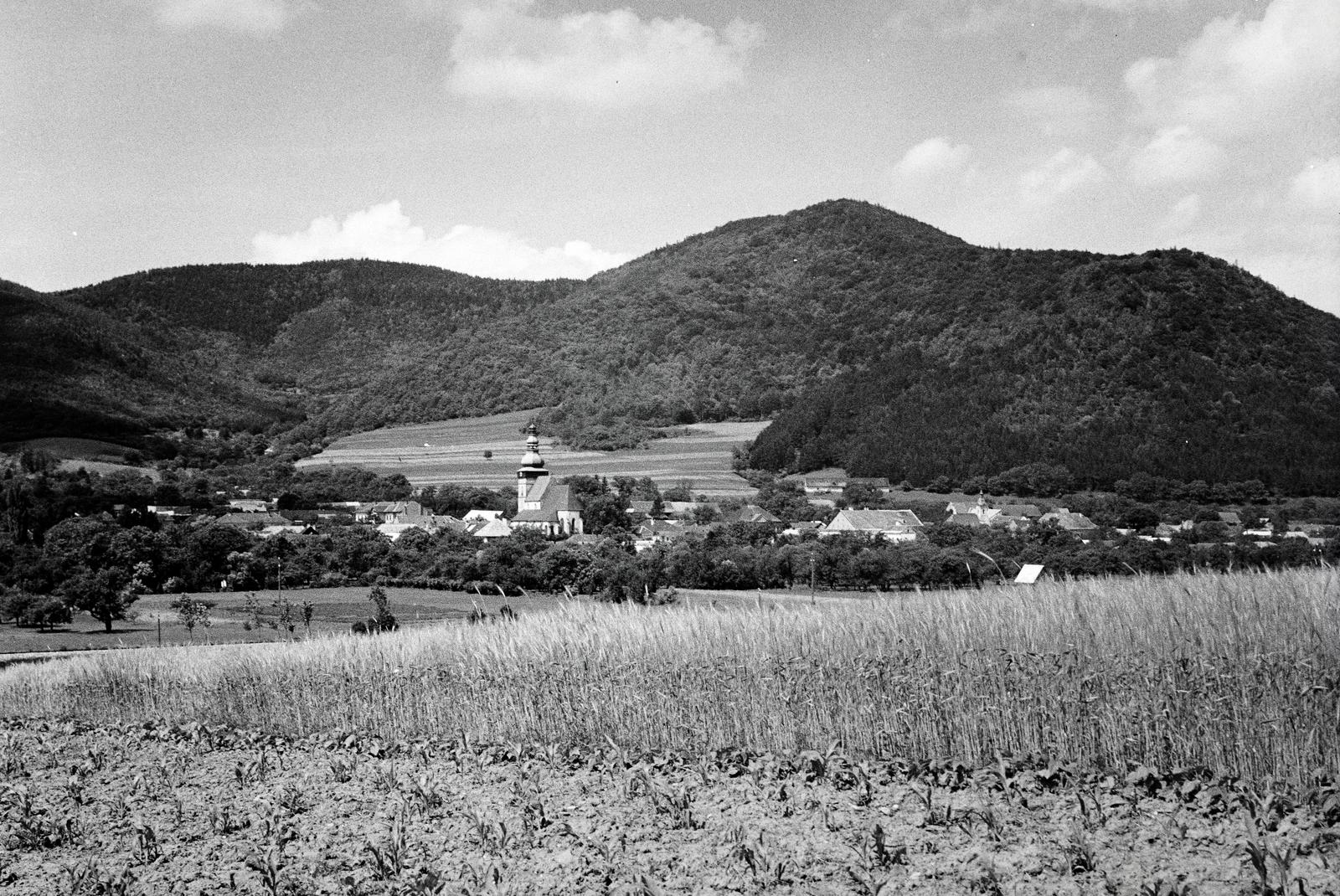 1934, Nagyhegyi Katalin, Fortepan #311927