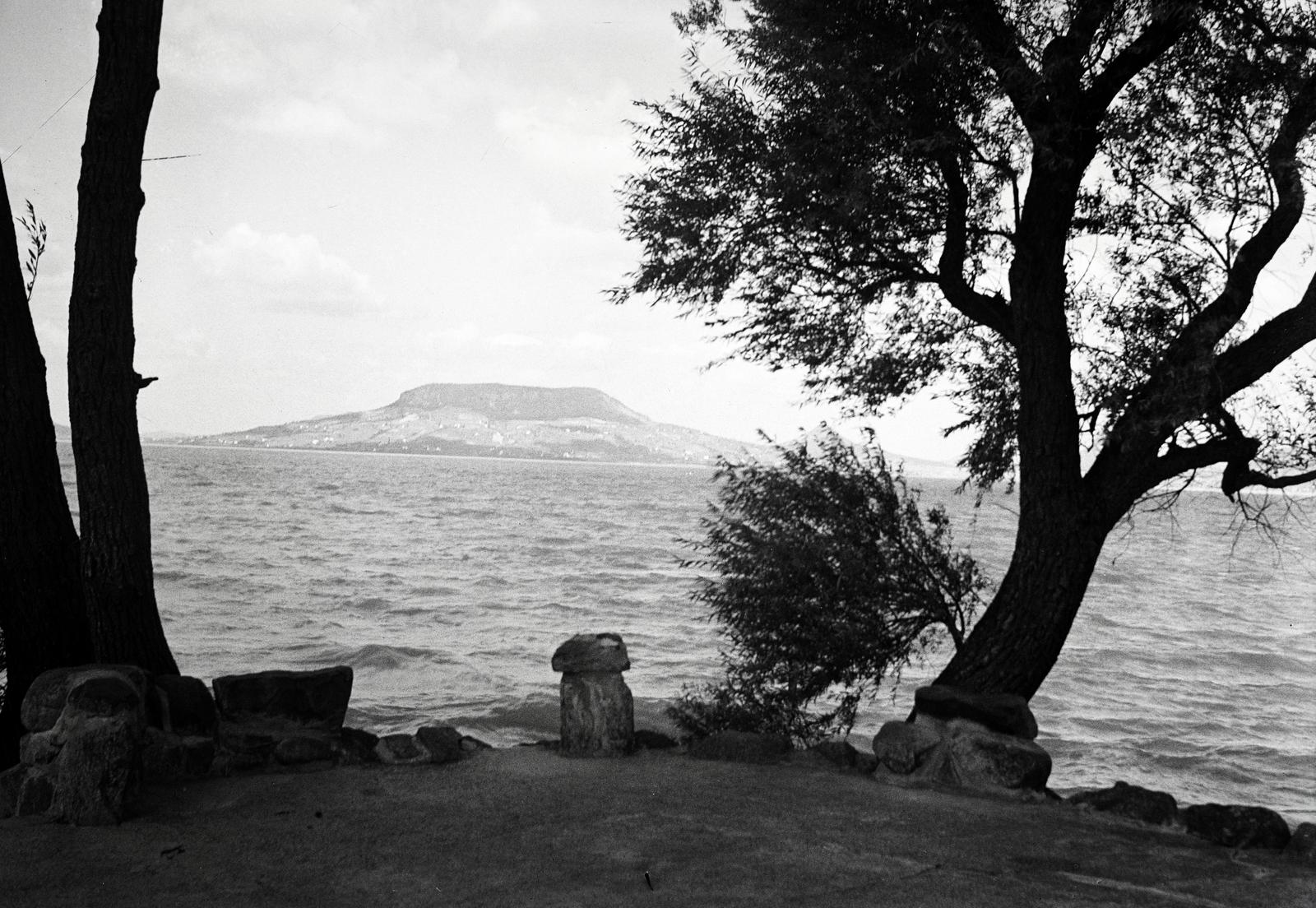 1937, Nagyhegyi Katalin, Fortepan #311941