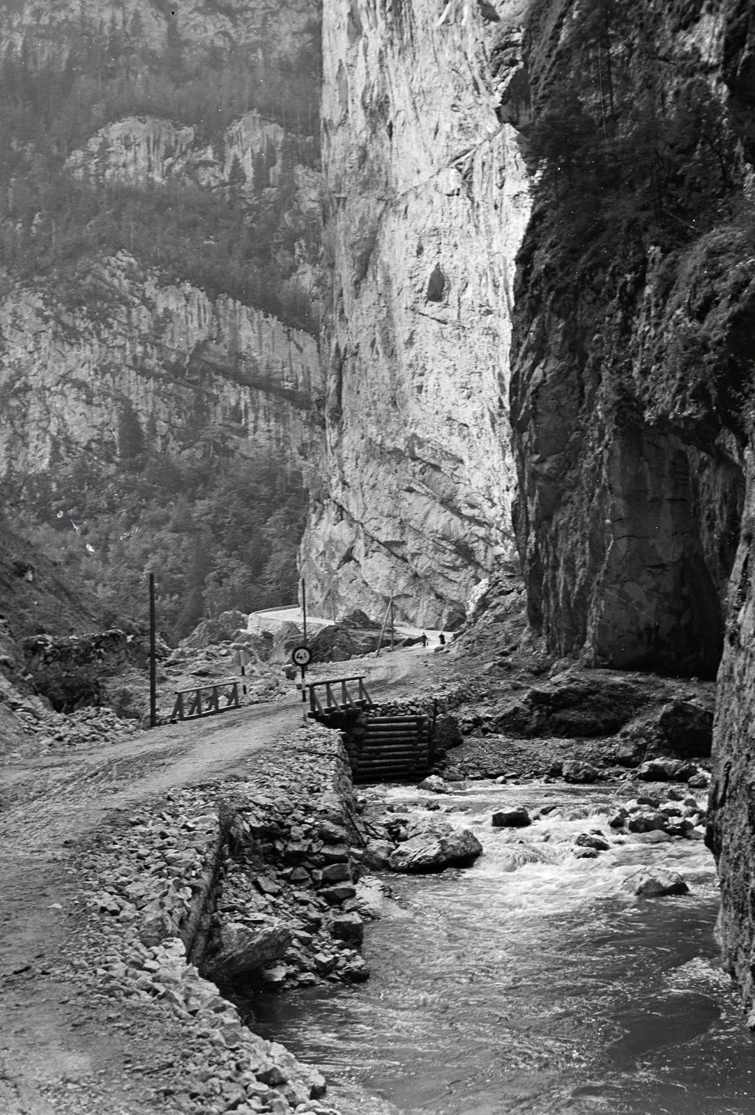 1938, Nagyhegyi Katalin, Fortepan #311951