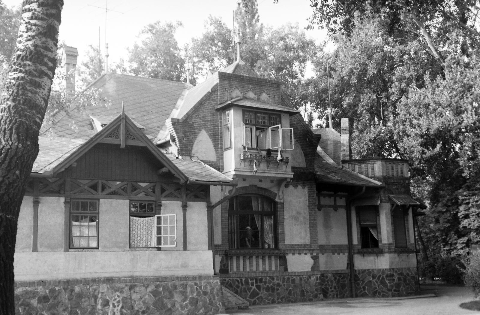 1965, Nagyhegyi Katalin, Fortepan #311958