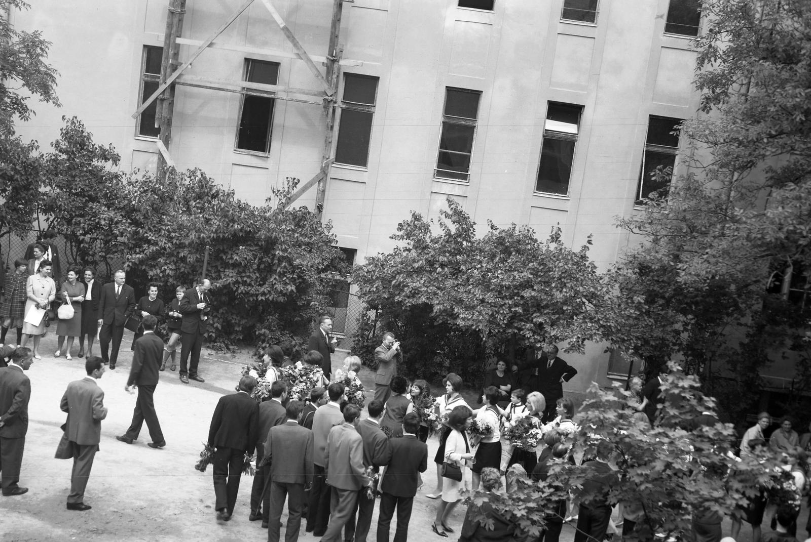 1967, Nagyhegyi Katalin, Fortepan #311959