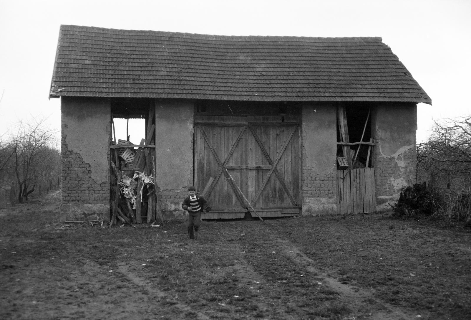 1984, Nándorfi Géza, Fortepan #312000