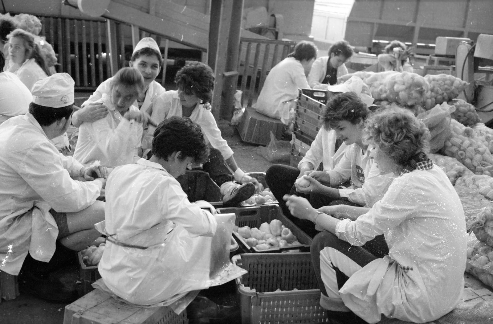 1984, Nándorfi Géza, Fortepan #312002