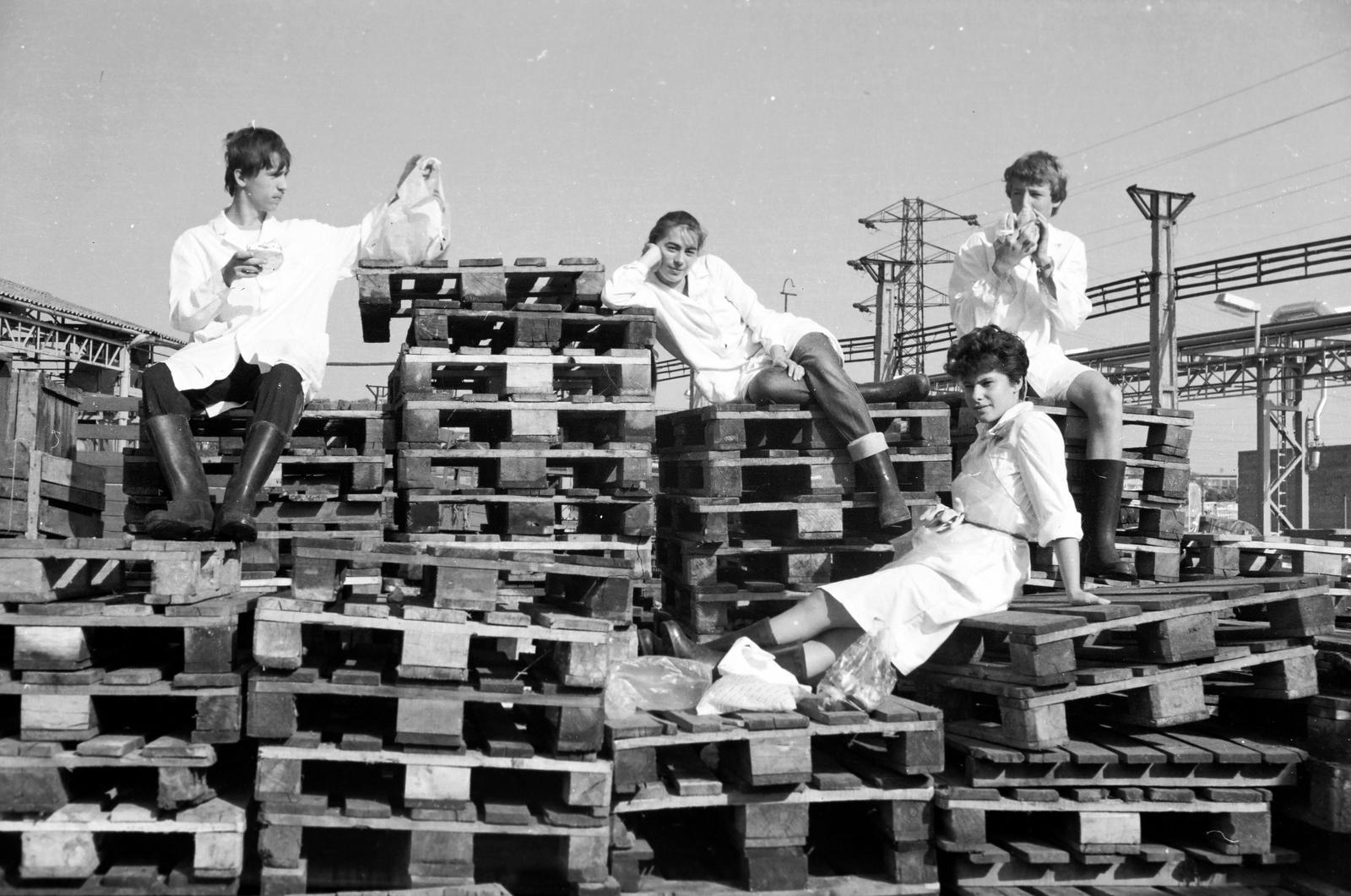 1984, Nándorfi Géza, Fortepan #312012