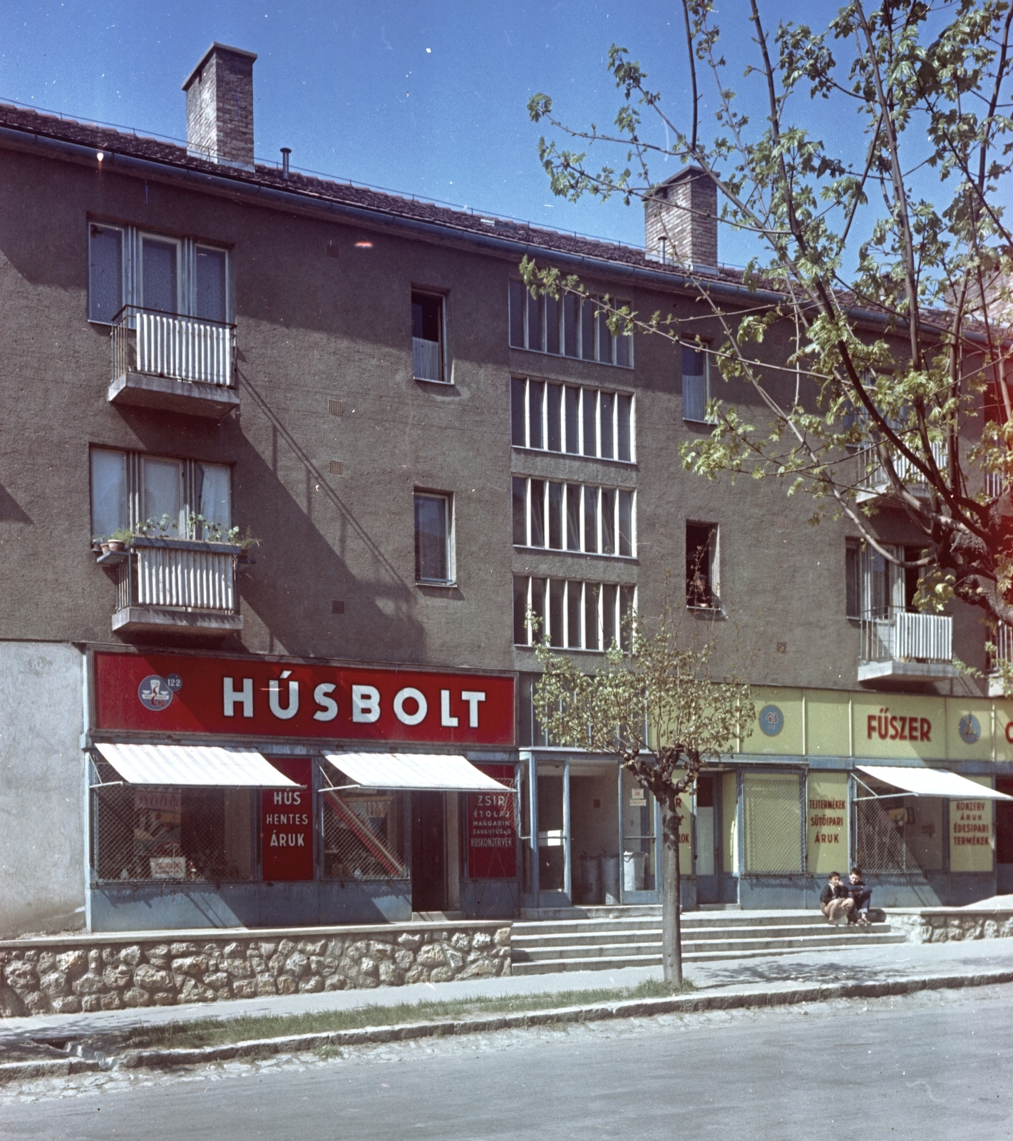 Hungary, Pécs, Petőfi Sándor utca 56., 1960, Építésügyi Dokumentációs és Információs Központ, VÁTI, colorful, shop, sign-board, butcher shop, Fortepan #31202