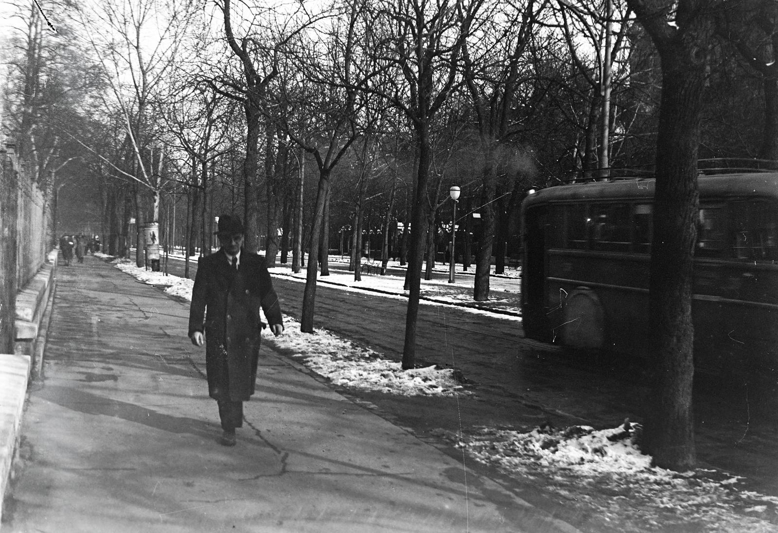 1938, Ódon Antikvárium, Fortepan #312080