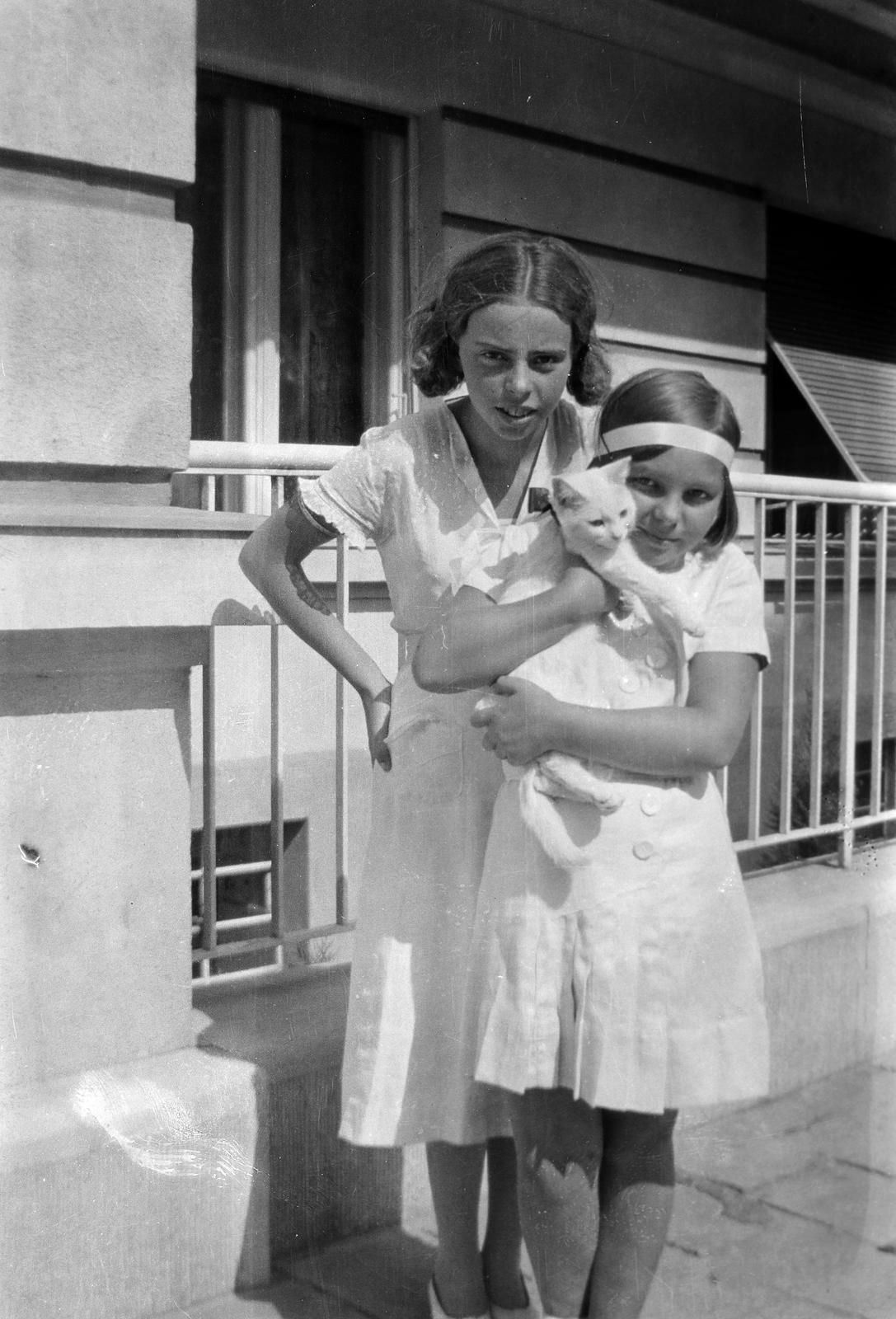 1938, Ódon Antikvárium, Fortepan #312082