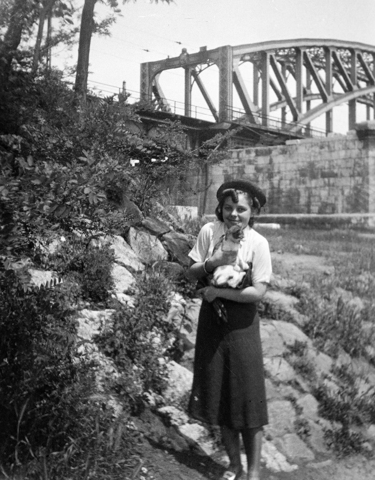 1938, Ódon Antikvárium, Fortepan #312084