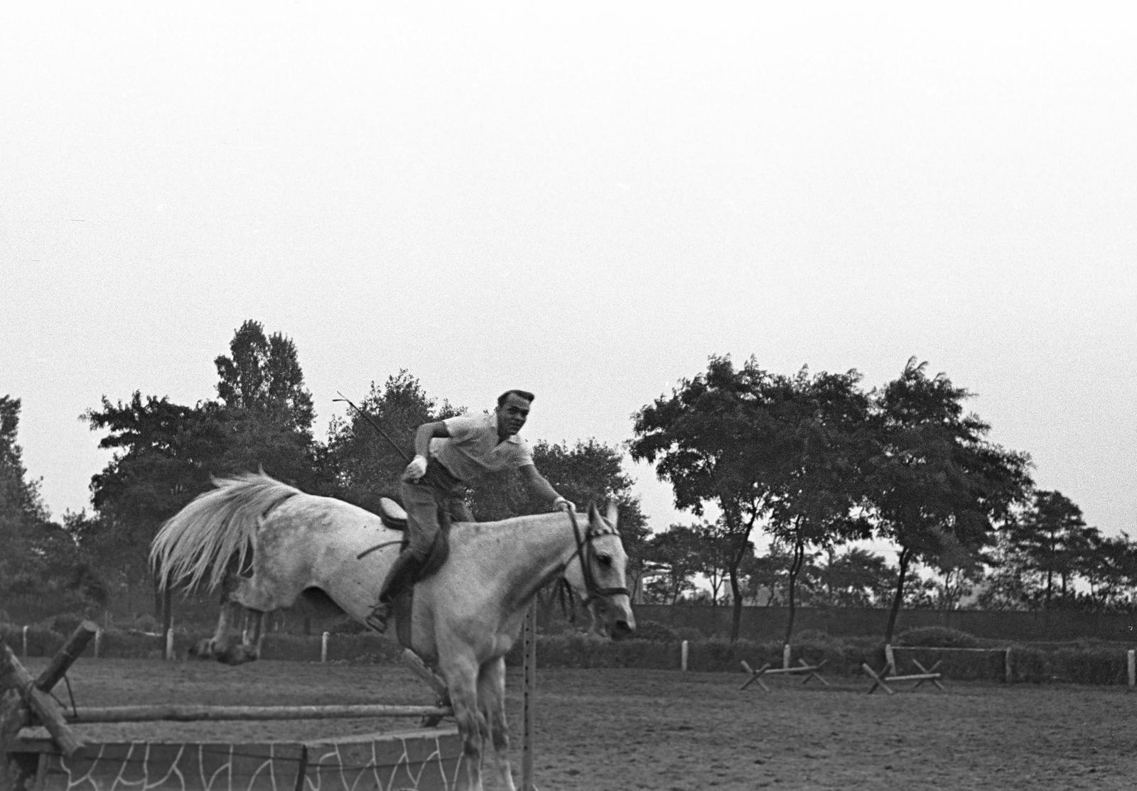 1960, Petrók Károly, Fortepan #312105