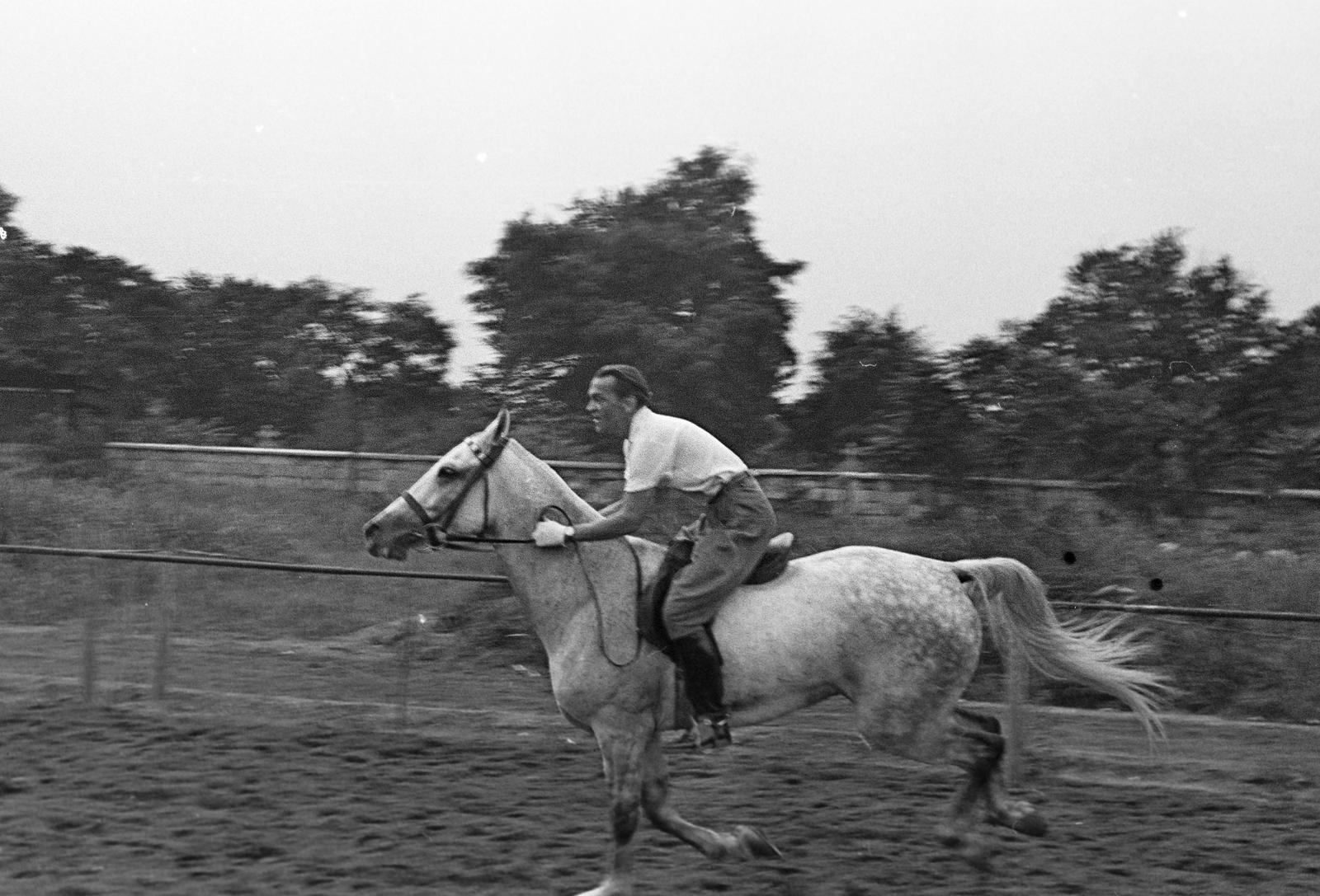 1960, Petrók Károly, Fortepan #312107
