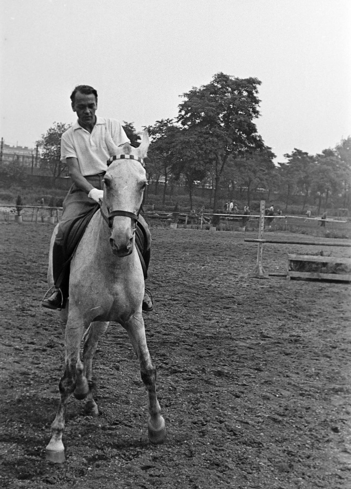 1960, Petrók Károly, Fortepan #312108