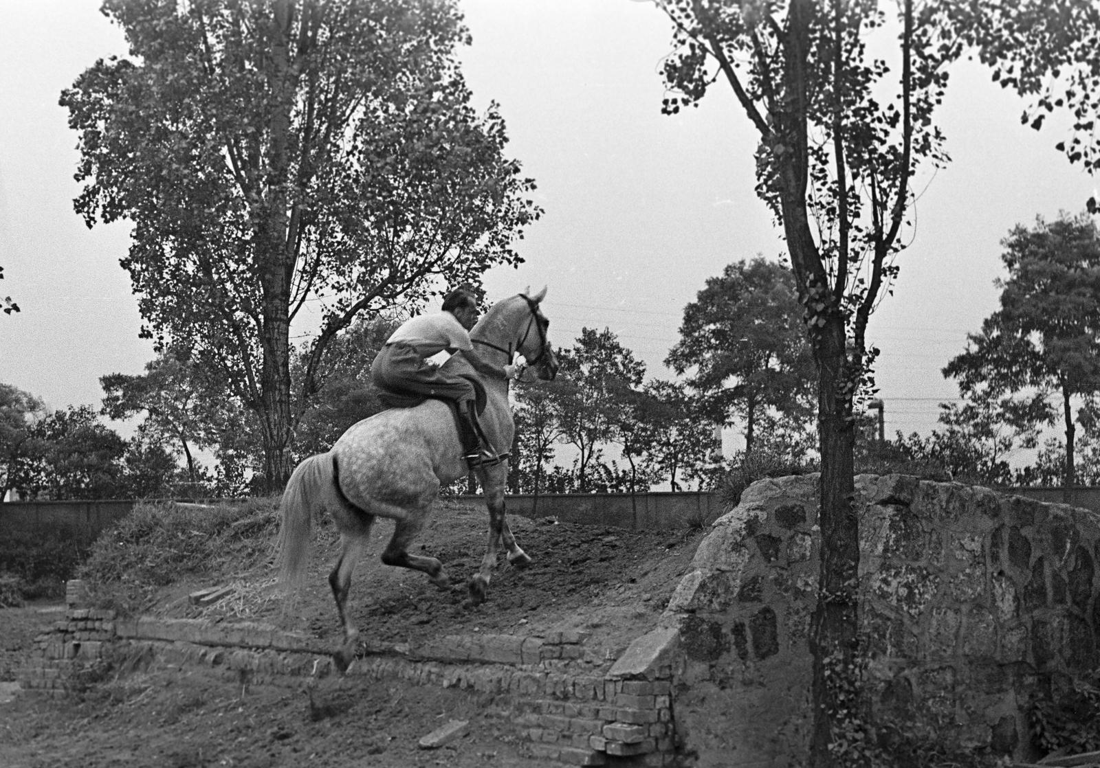 1960, Petrók Károly, Fortepan #312109