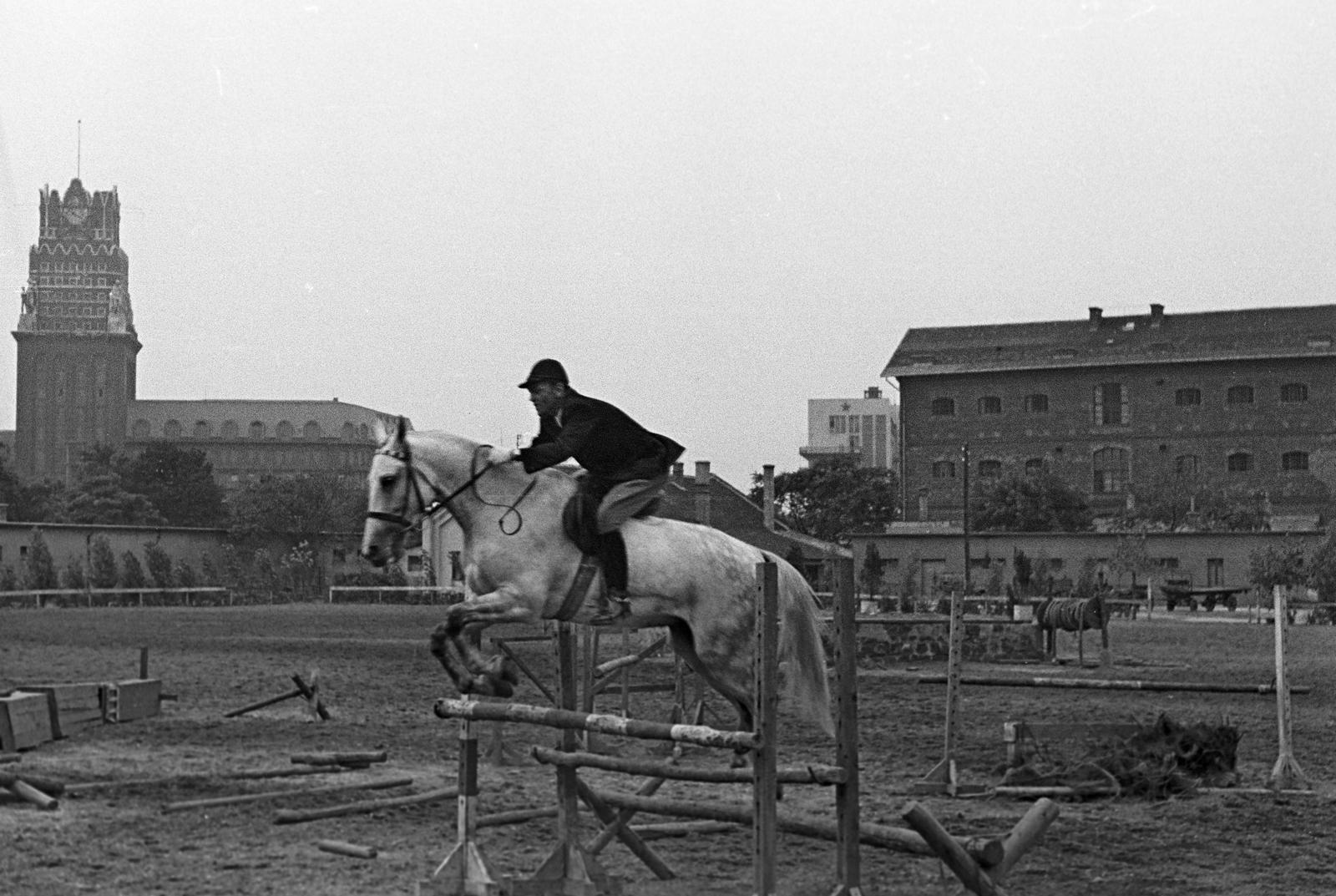 1960, Petrók Károly, Fortepan #312111