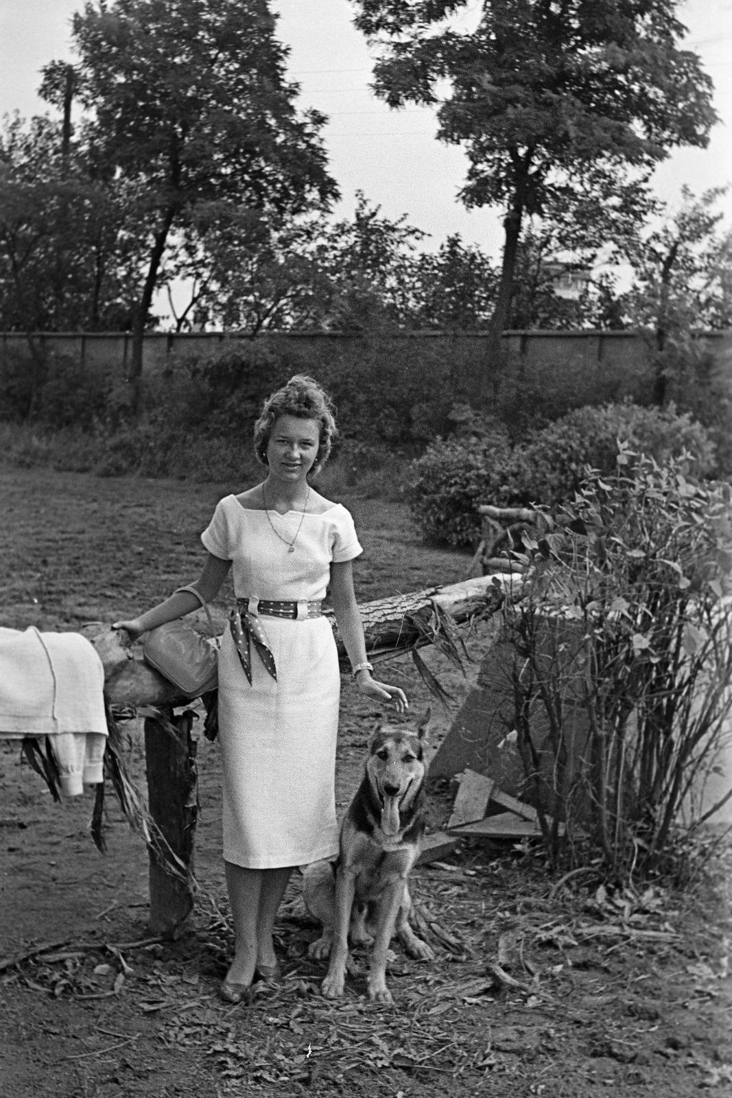 1960, Petrók Károly, Fortepan #312115