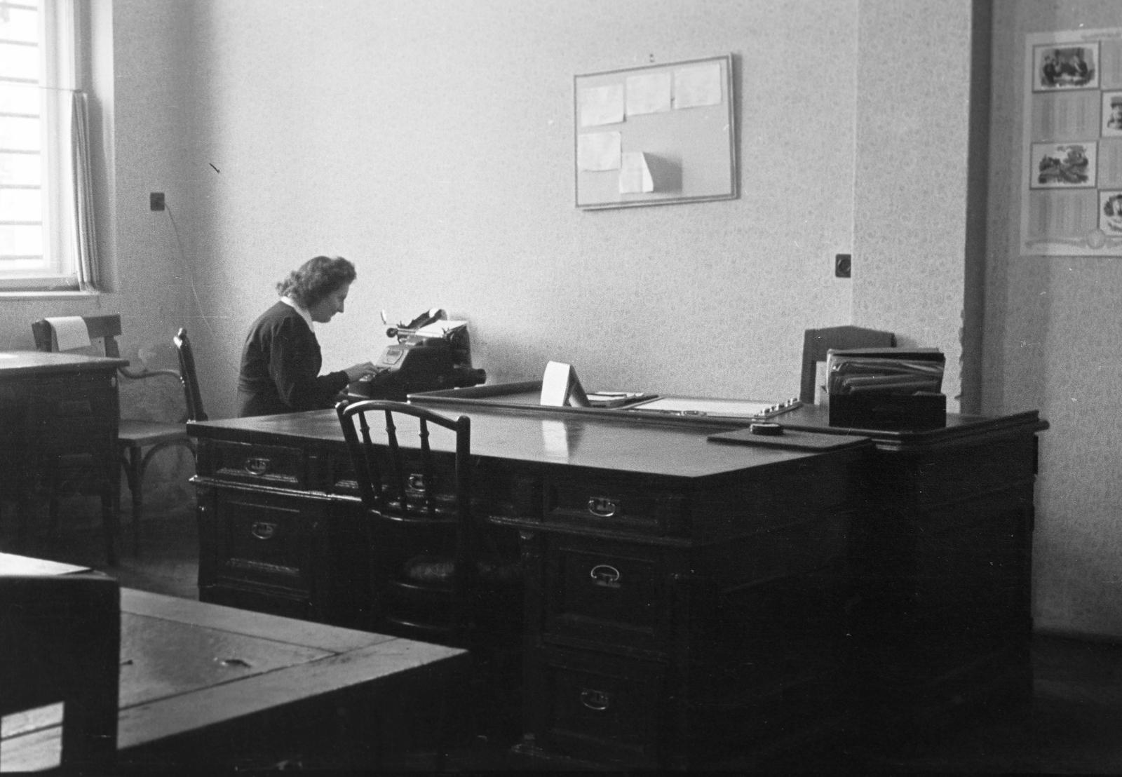 1954, Petrók Károly, Fortepan #312118