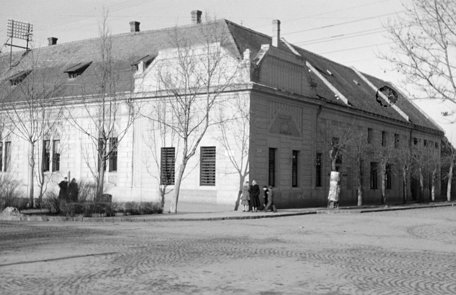 1954, Petrók Károly, Fortepan #312120