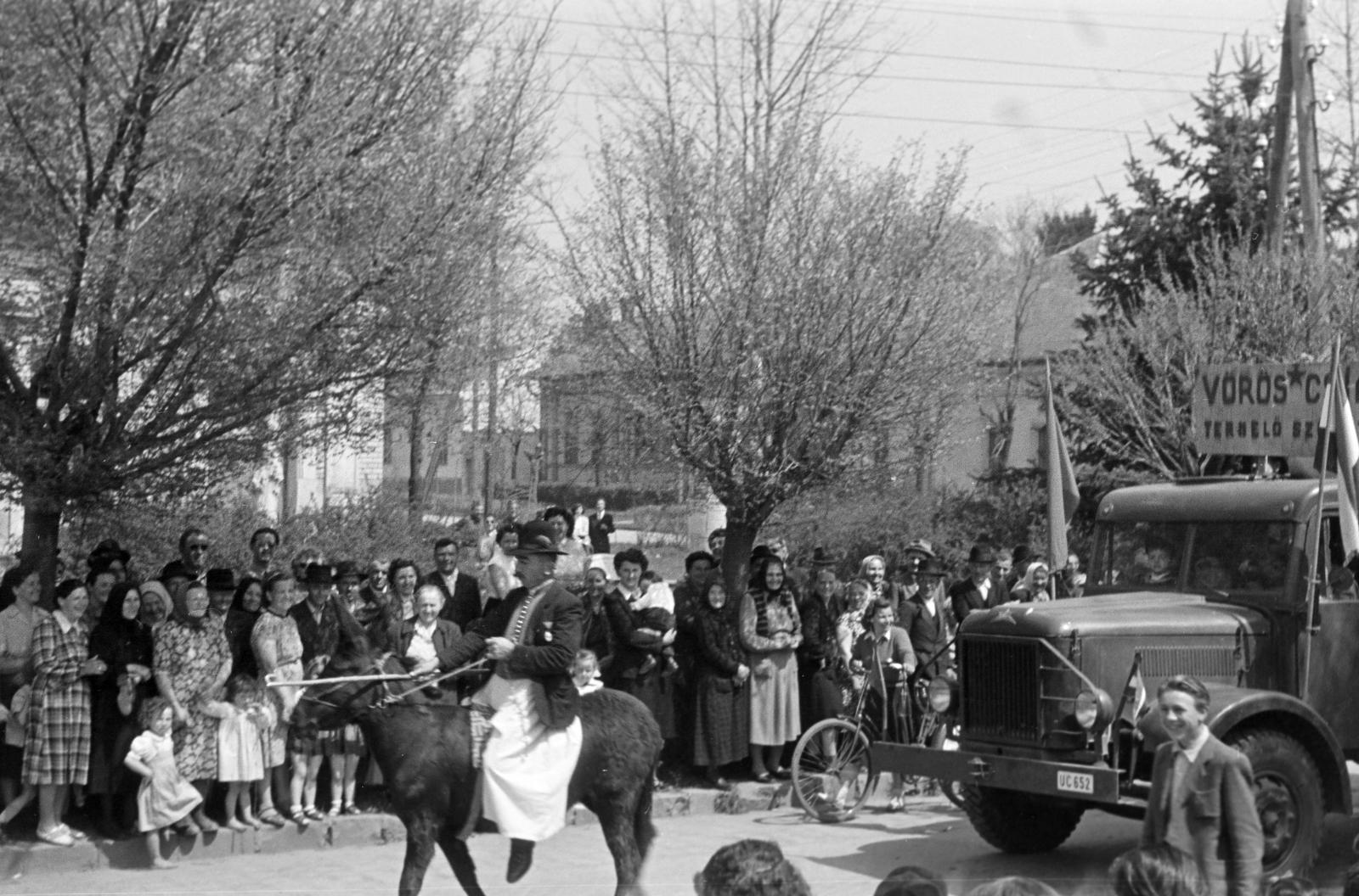 1954, Petrók Károly, Fortepan #312122
