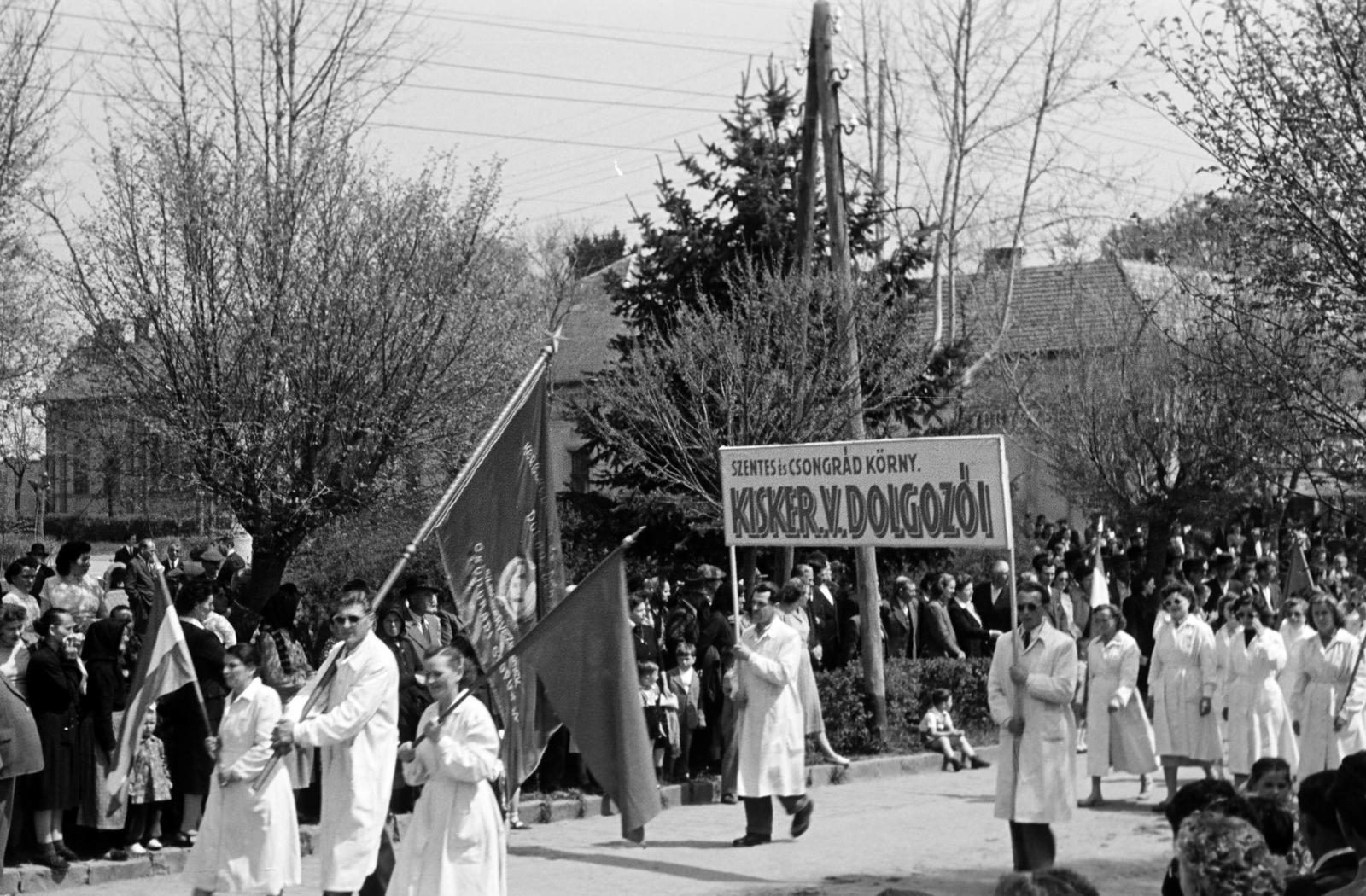 1954, Petrók Károly, Fortepan #312128