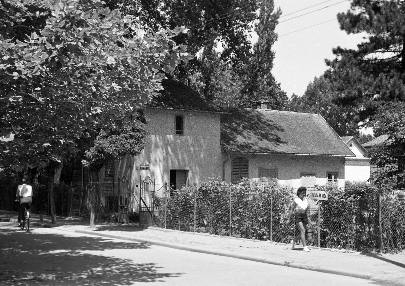 1960, Petrók Károly, Fortepan #312137