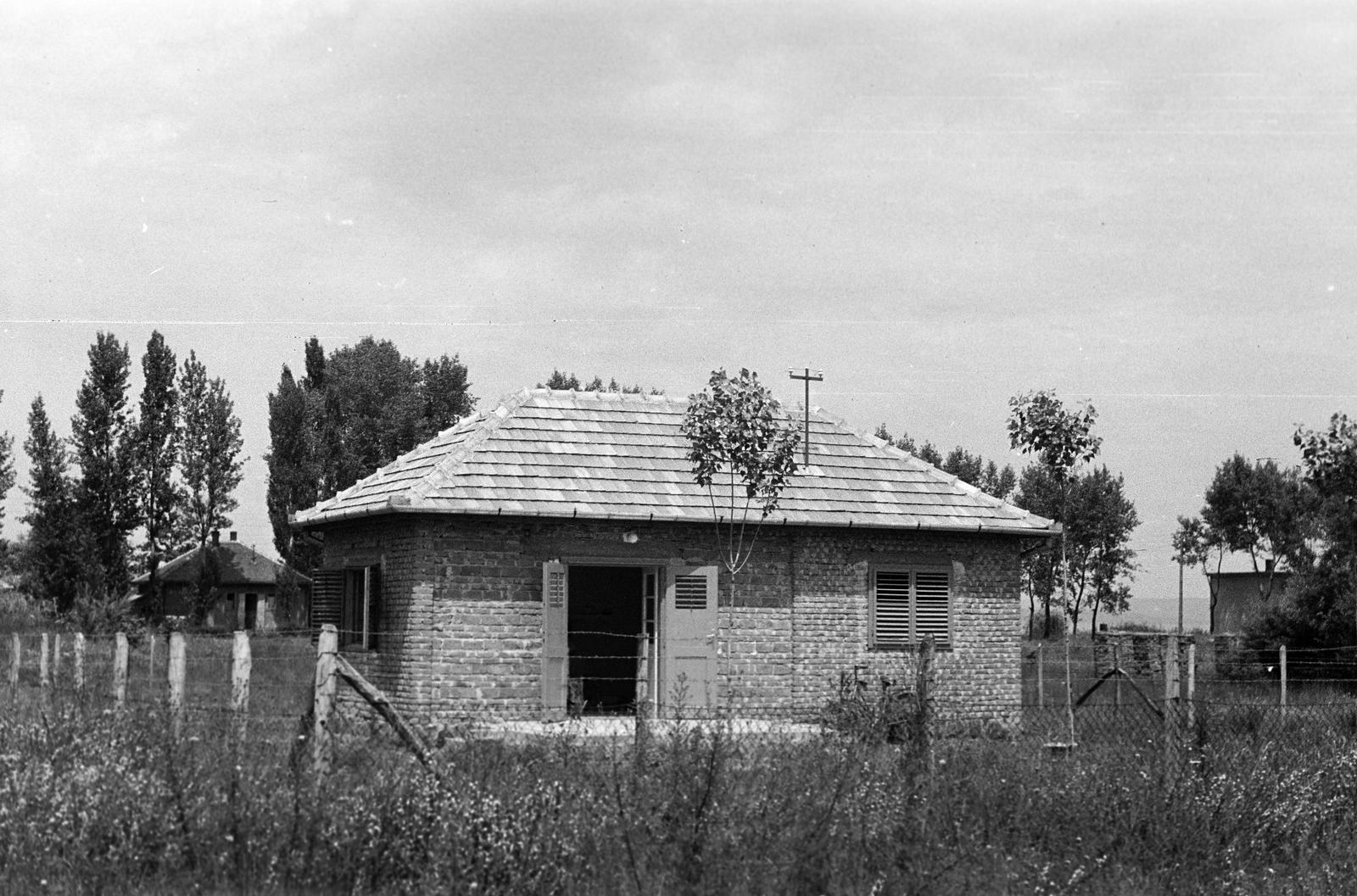 1960, Petrók Károly, Fortepan #312138