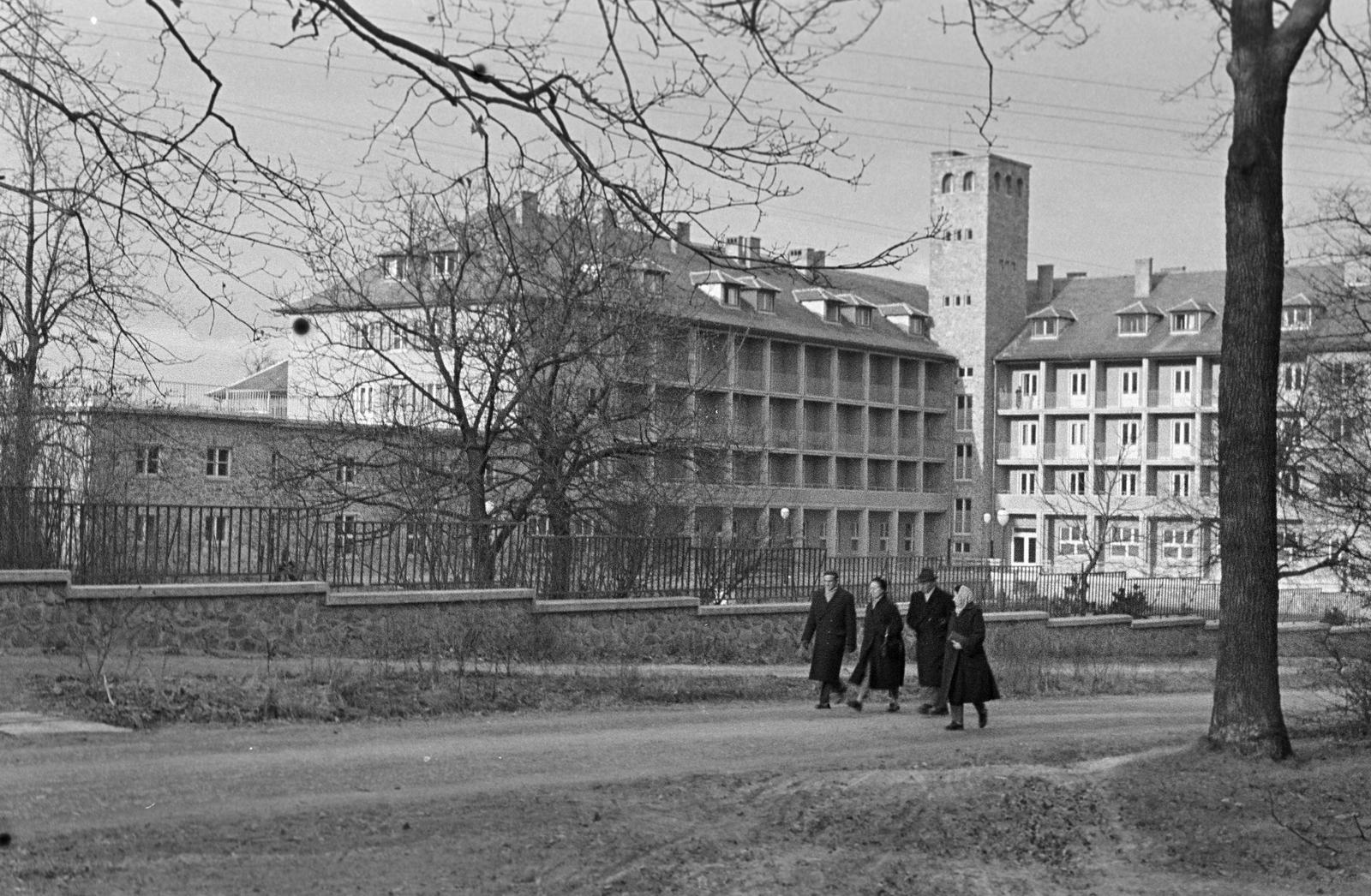 1955, Petrók Károly, Fortepan #312153