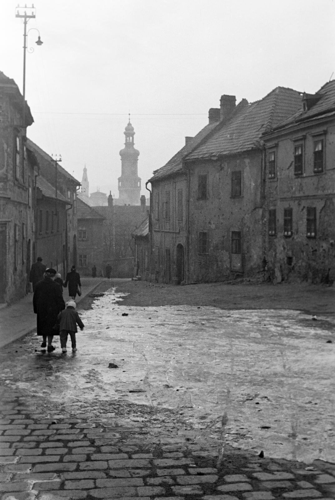 1955, Petrók Károly, Fortepan #312156