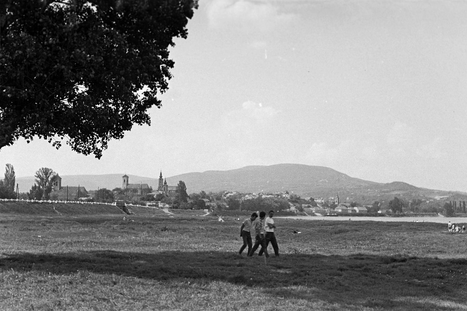 1960, Petrók Károly, Fortepan #312161